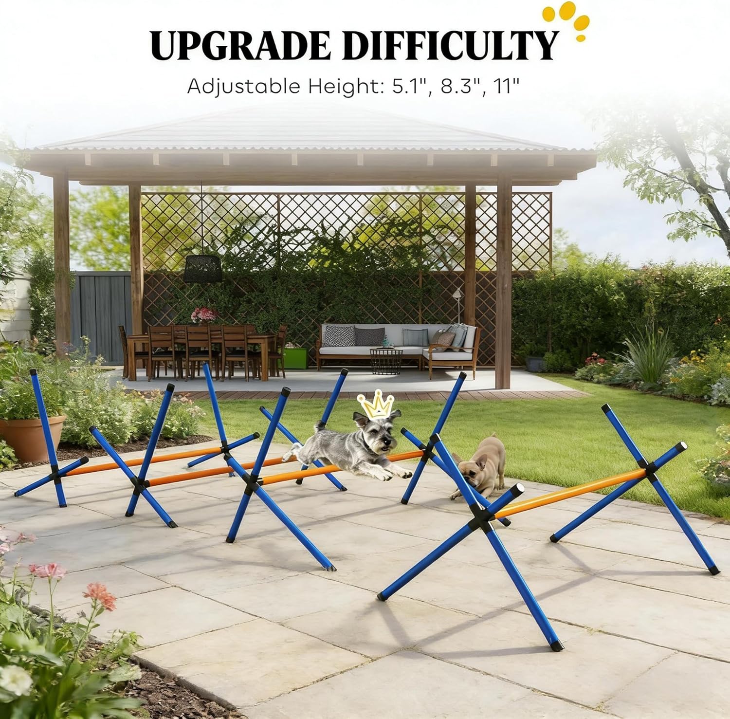 Versatile Pet Agility Equipment Set,Three-Level Height Adjustment Dog Jumps for Backyard Training,Black+Blue+Orange
