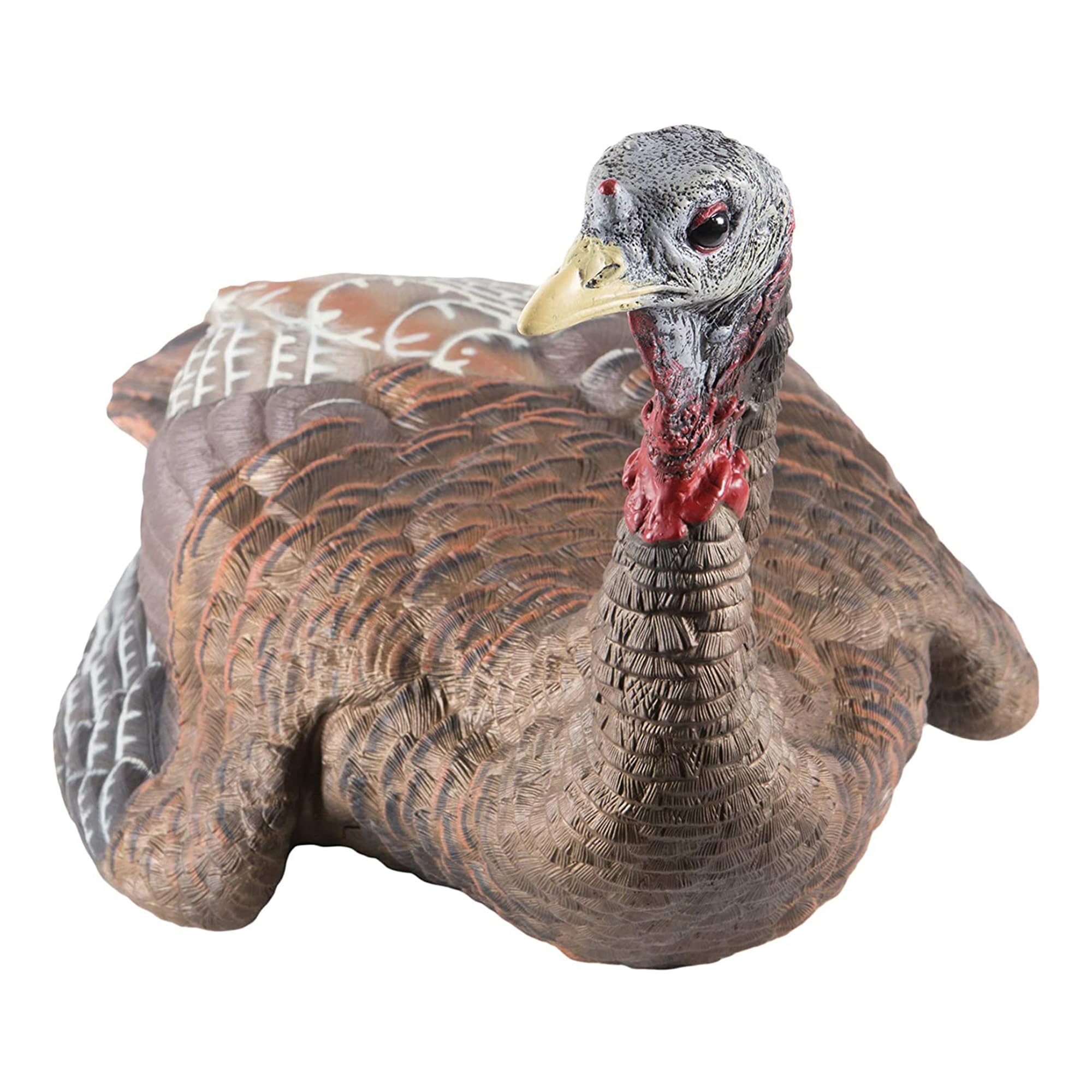 Amazon.com : Avian-X AVX8011 LCD Lifelike Collapsible Laydown