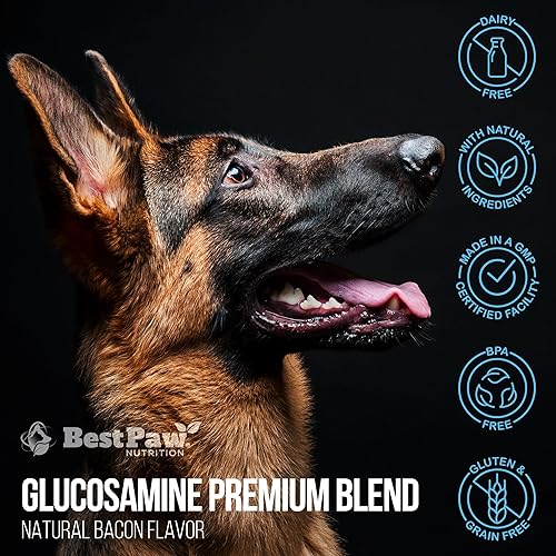 Miniatura 10 de Medicina natural anti-envejecimiento para artritis articular y displasia de cadera, alivio del dolor para perros y gatos de la marca Glucosamina