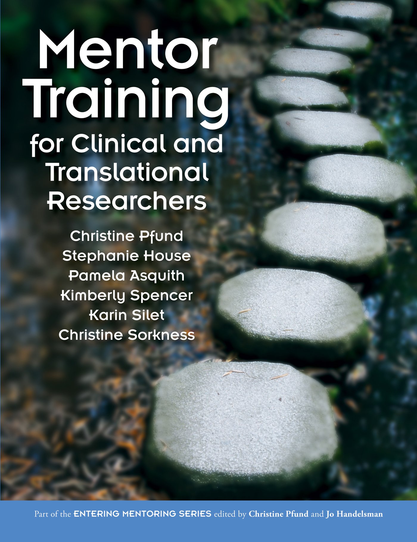Buy Mentor Training for Clinical and Translational Researchers — BookShops.in