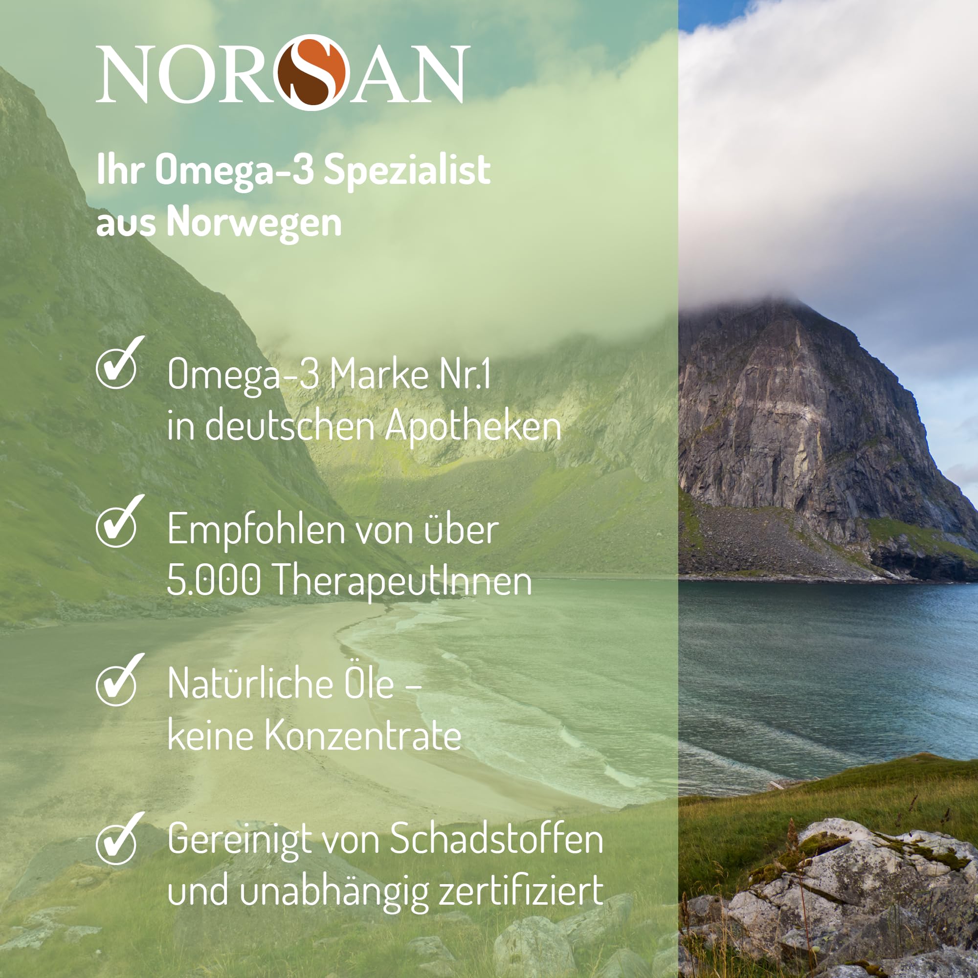 NORSAN Premium Omega-3 Vegan Öl hochdosiert 3 x 100ml - 2000 mg Omega-3 Tagesdosierung-Algenöl reich an EPA & DHA - 800 IE Vitamin D3
