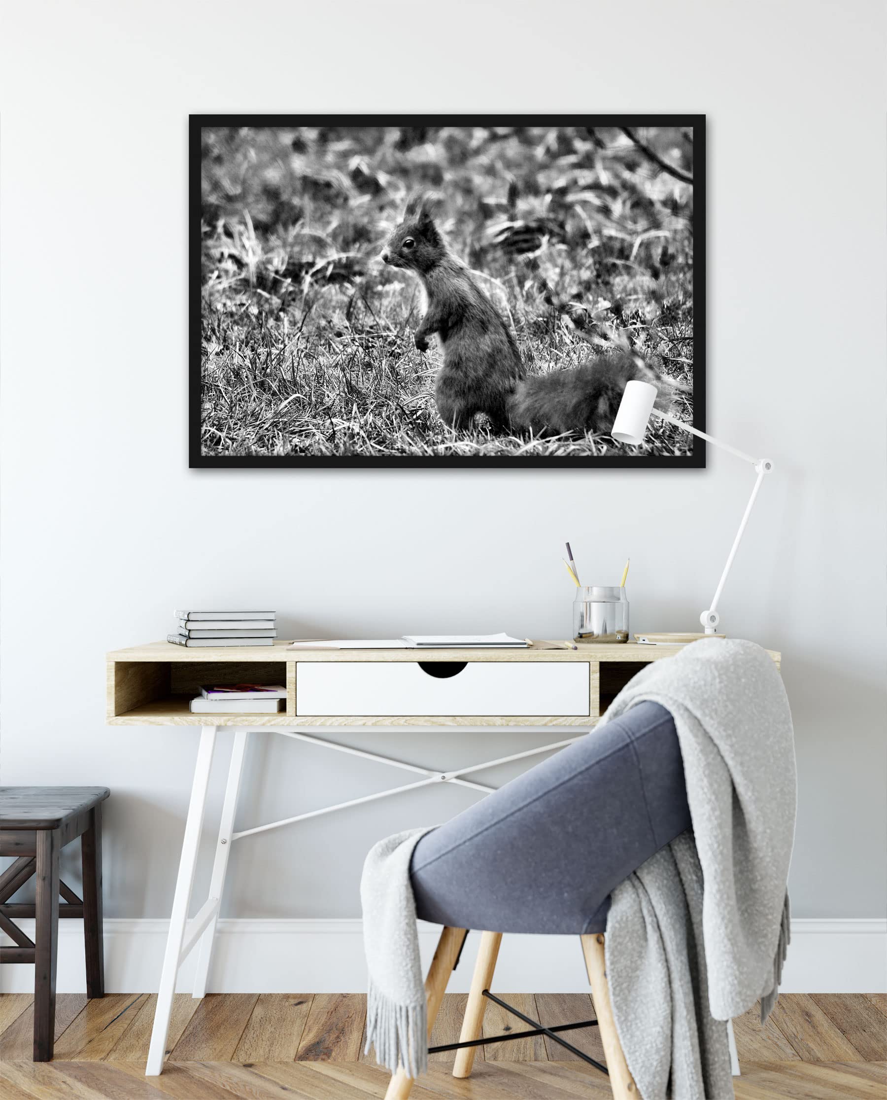 Pixxprint Eichhörnchen auf Boden, Poster im Bilderrahmen, Format: 100x70cm, Kunstdruck gerahmt