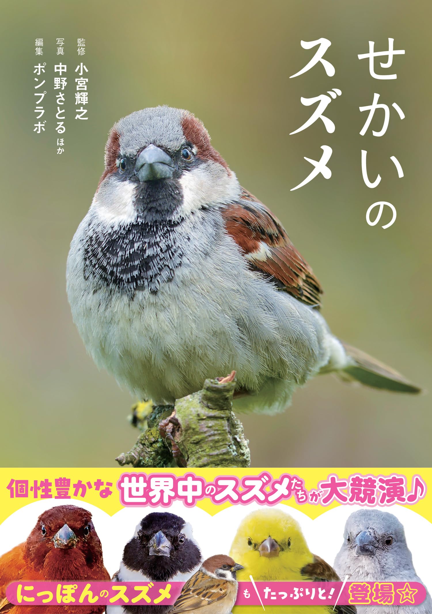 せかいのスズメ | 小宮輝之, ポンプラボ, 中野さとる |本 | 通販 | Amazon