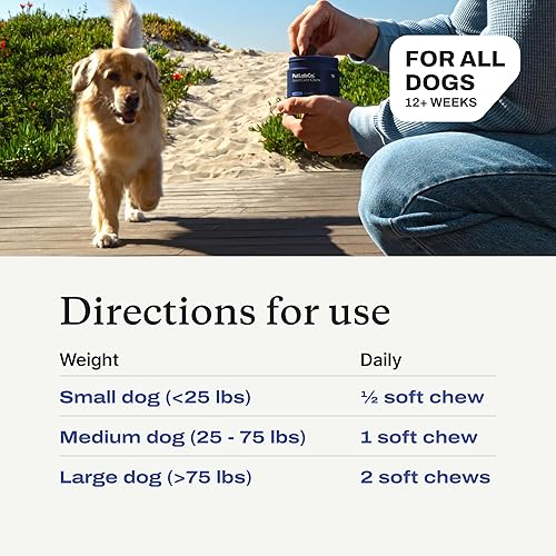 Vista 19 de Petlab Co. Masticables para el cuidado de las articulaciones para perros, altos niveles de glucosamina, mejillones de labios verdes, omega 3