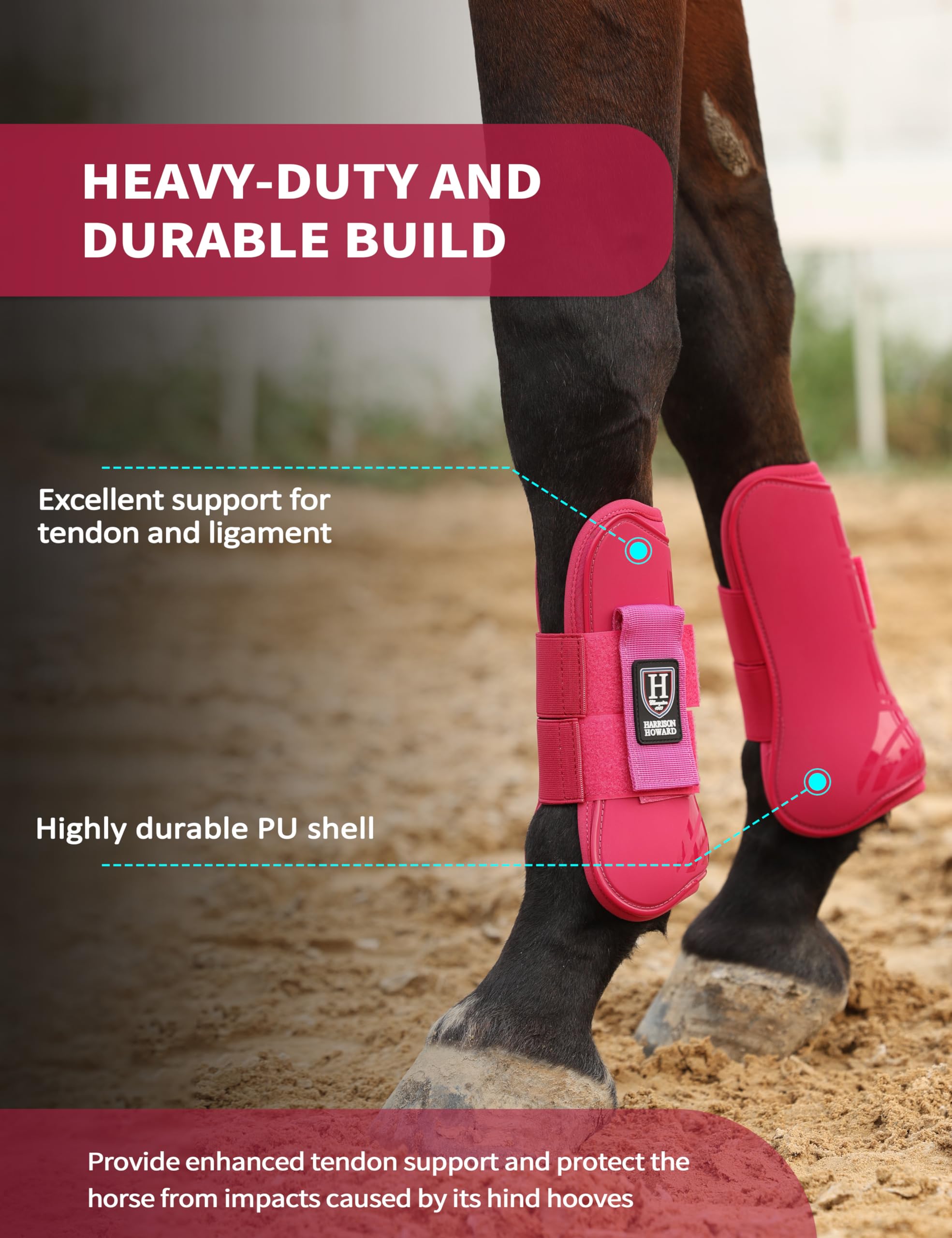 Harrison Howard Botas de tendón de caballo con parte delantera abierta, botas protectoras para caballos para saltar, montar en senderos, juego de 4
