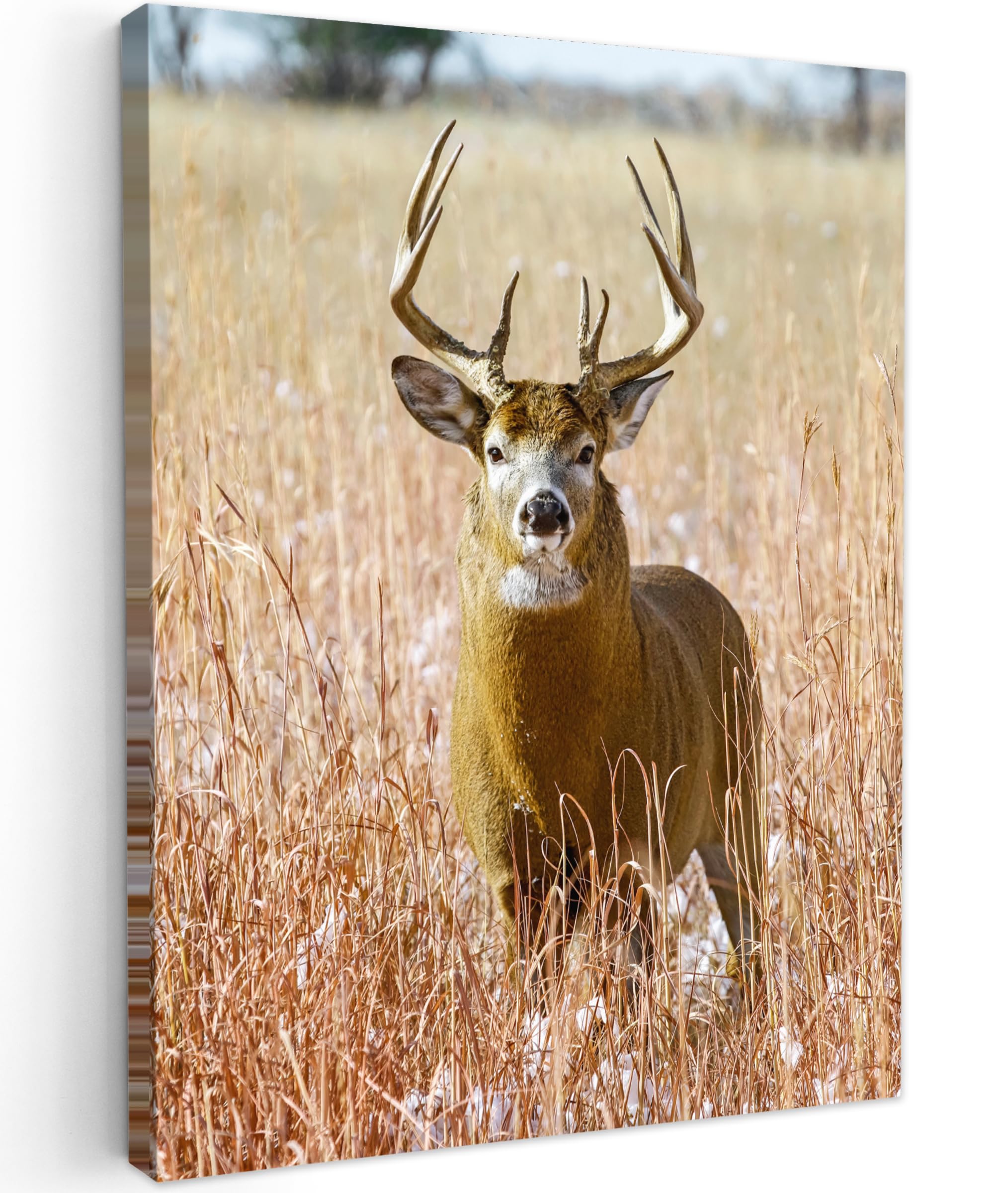 MuchoWow© Canvas Wall Art 24"x31" / 60x80 cm Decor Paintings Prints framed on Canvas Decorations Wallart Deer - Grass - Autumn - Animals - Nature - Antlers — image 1