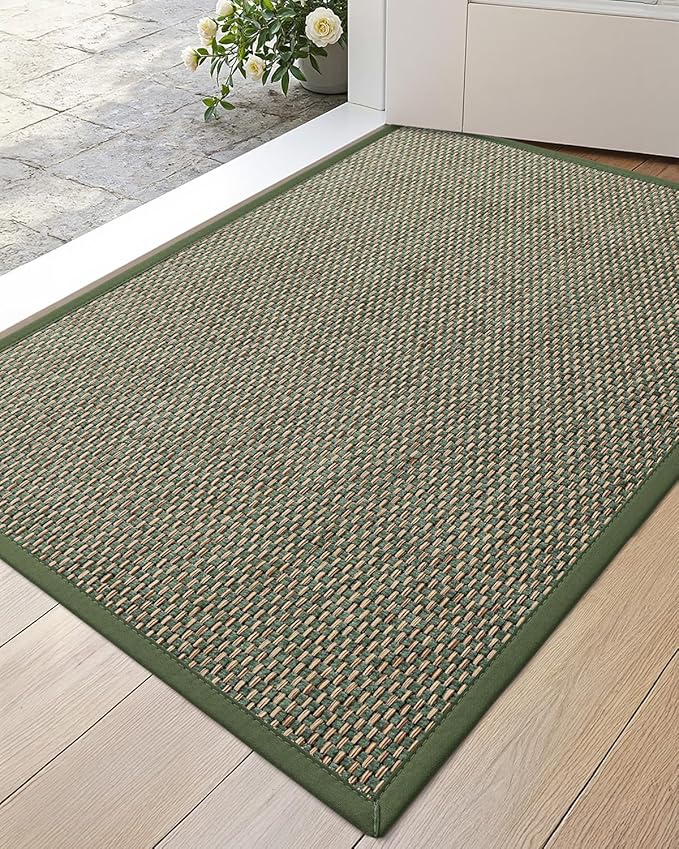 DEXI Ultra Thin Entryway Indoor Door Mat 24x36, Non Slip Rubber Backing Inside Entry Mat, Low Profile Easy Clean Dirt Trapper Doormat for Inside Entrance Patio, Green