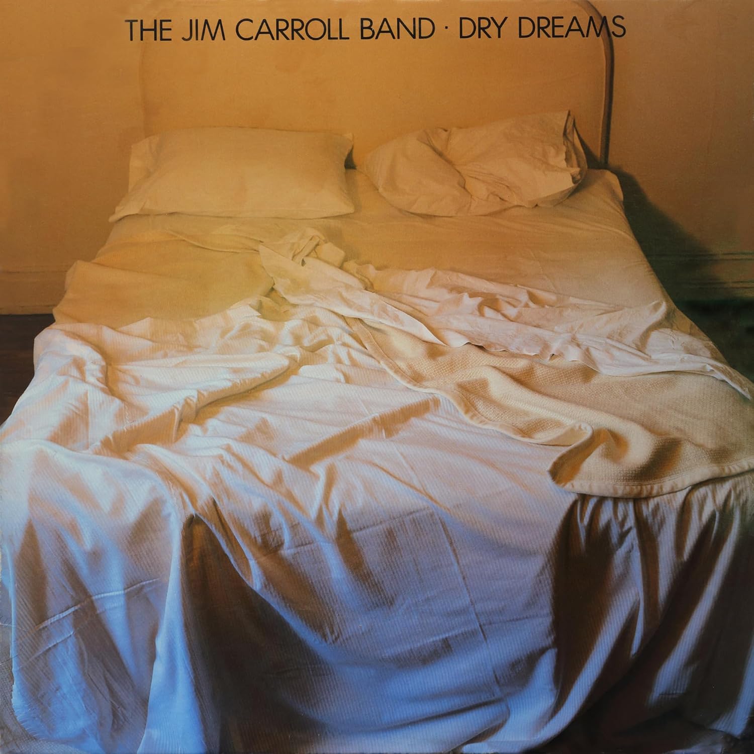 Dry Dreams by The Jim Carroll Band — album cover