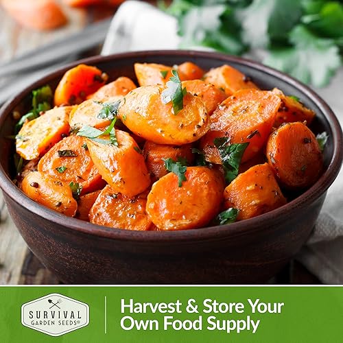 Miniatura 5 de 5 paquetes de semillas de zanahoria tiernas para plantar, paquete con instrucciones para cultivar zanahorias naranjas largas y crujientes en tu