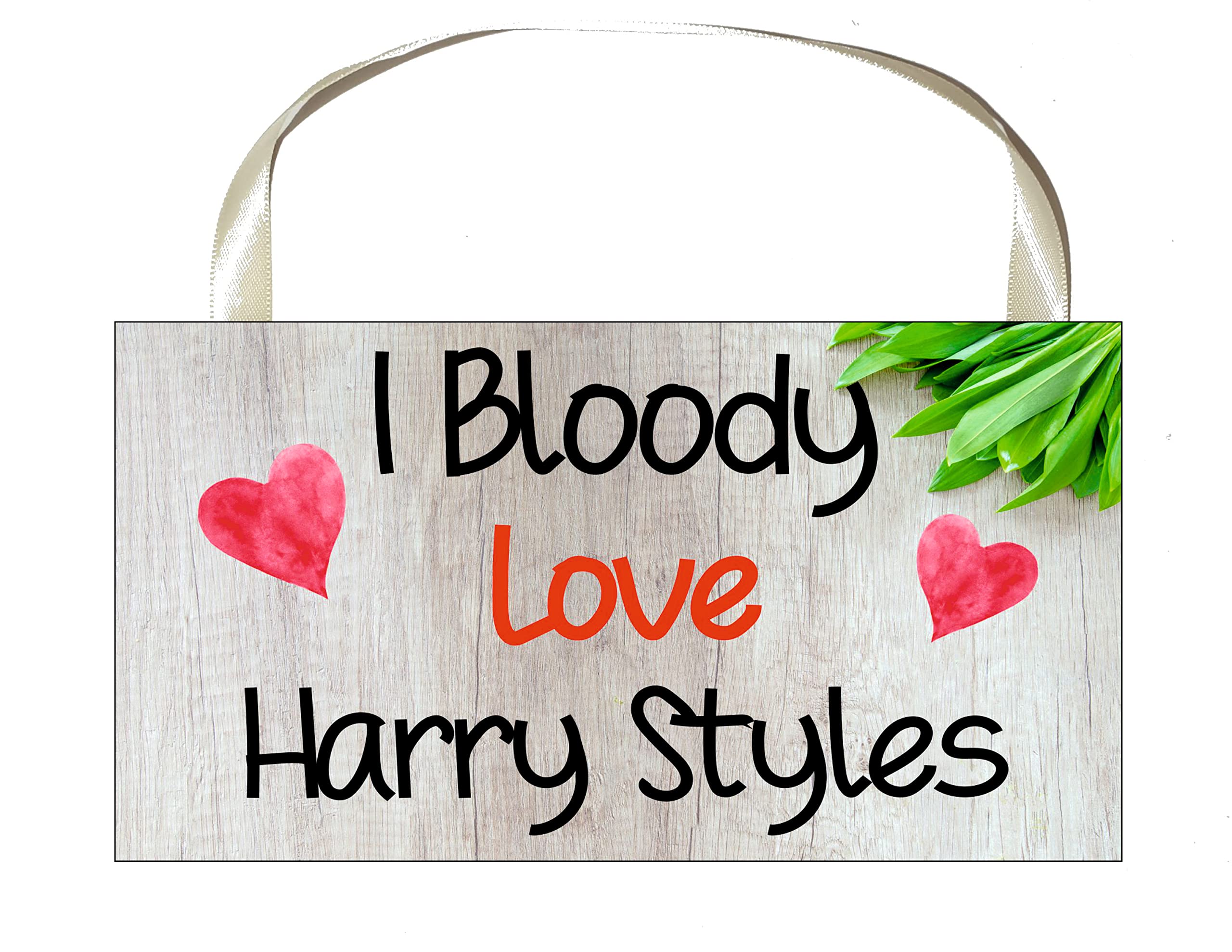 Harry Styles Plaque Gift/Sign – I Bloody Love Harry Styles – Cute Fun Novelty Birthday Present