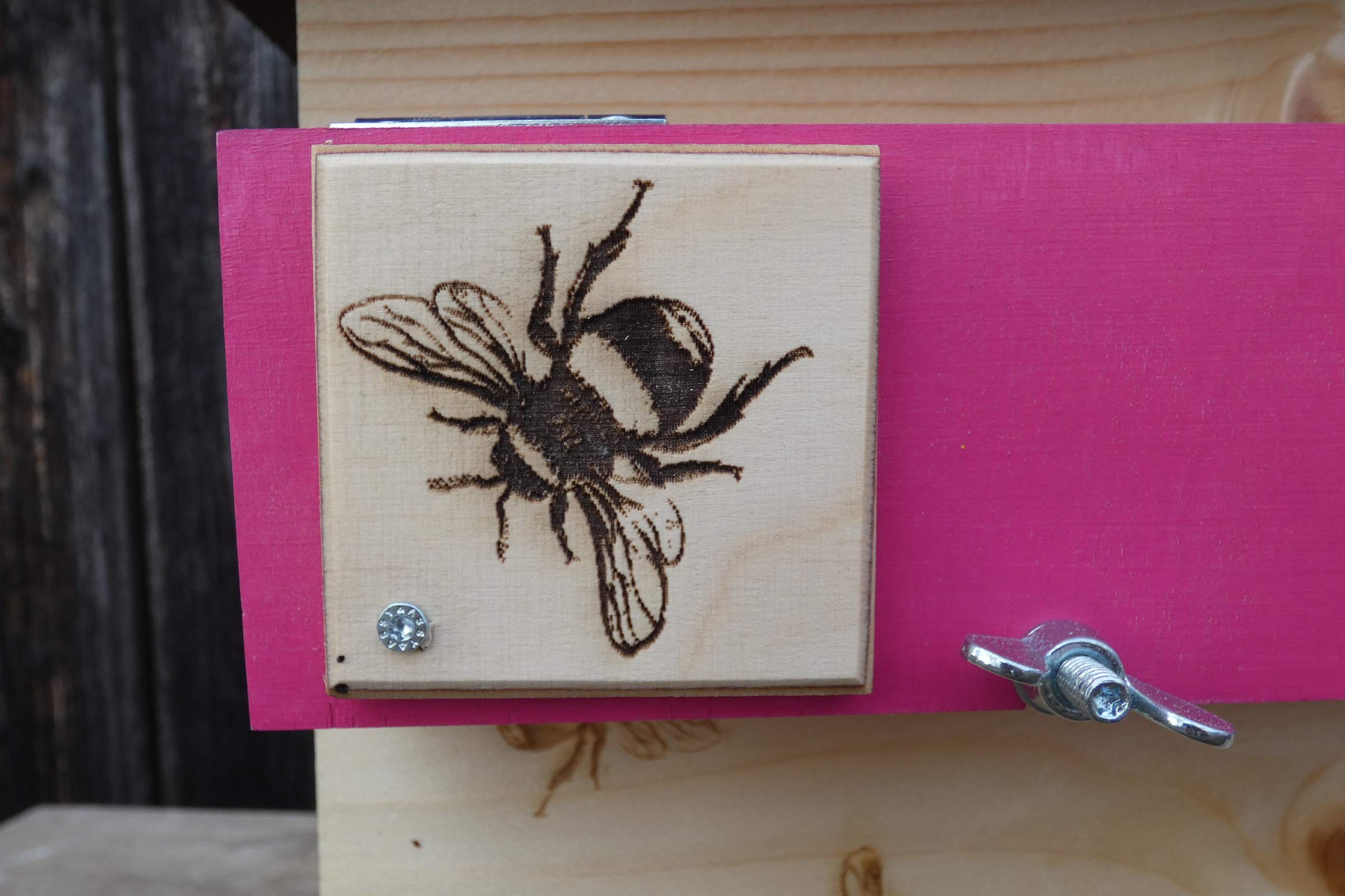 Profi XXXL Hummelkasten mit Wachsmottensperre und Zufütterung, 2X Sichtfenster und Nistmaterial geflammt oder Imprägniert Wetterfest Bienenhaus Hummelhaus Nistkasten Hummelvilla Bienen Insektenhaus