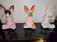 Review Image by Ms Amanda Ms Amanda