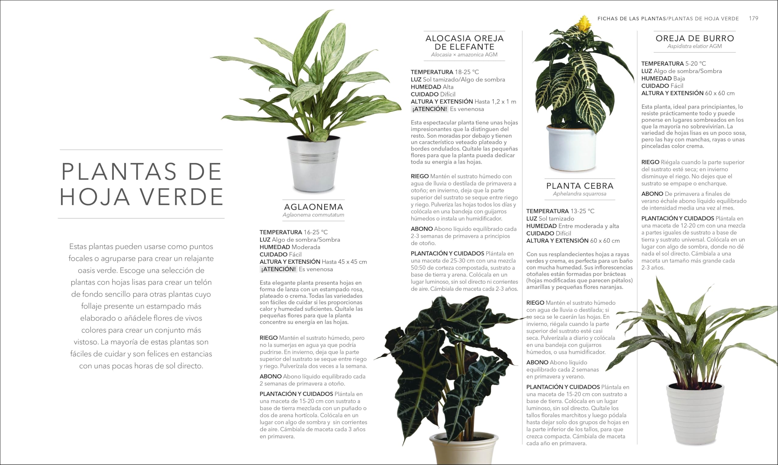 Plantas de interior: Guía completa. Plantas, cactus y suculentas (Jardinería)