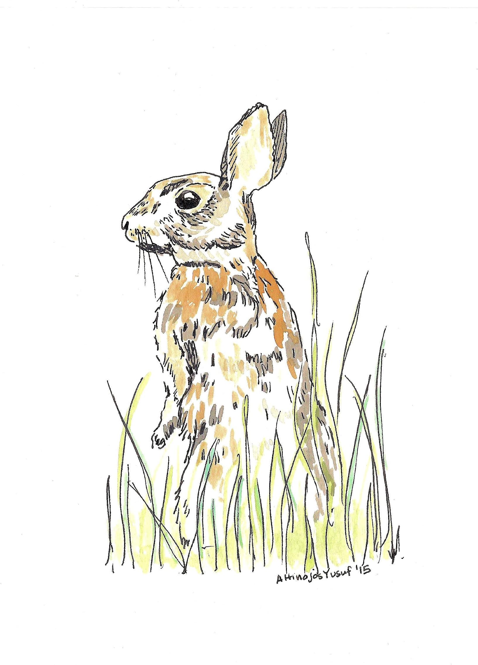 "Rabbit" Watercolor Print