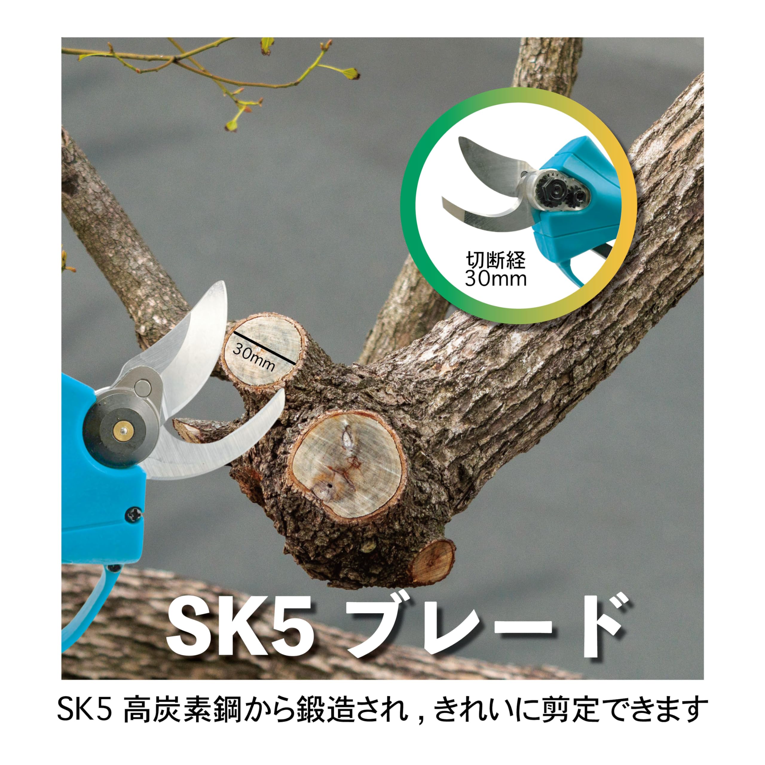 【訳あり】マキタ 互換 剪定ハサミ 剪定ばさみ 充電式 電動 18V 対応 新品 Amazon | 大宝堂 マキタ互換品 電動ハサミ 剪定バサミ はさみ