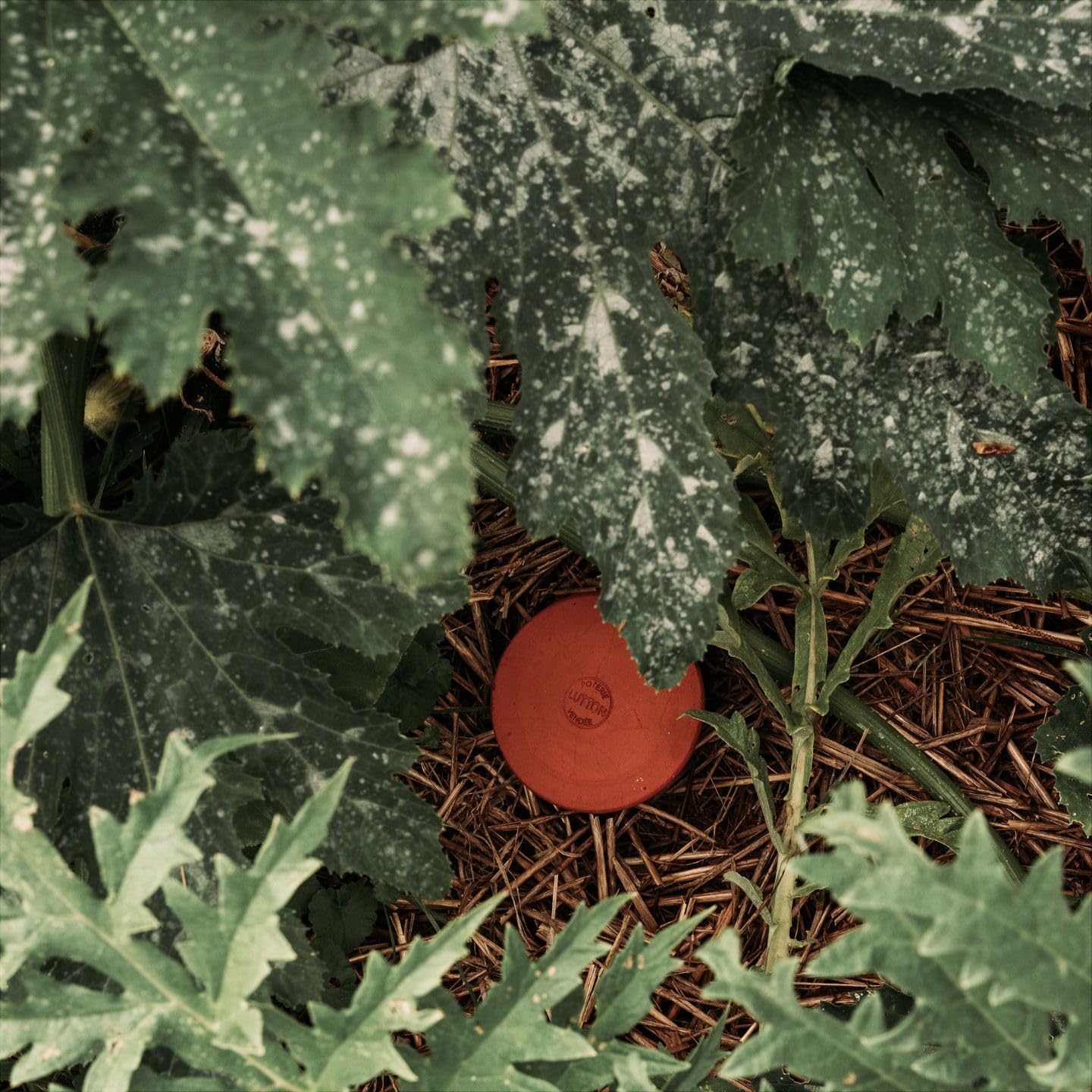 Duo Ollas Tube 2L en Terre Cuite – Fabrication Française – Arrosage Autonome Écologique pour Potager, Jardin et Plantes – Irrigation Naturelle Jusqu’à 5 Jours