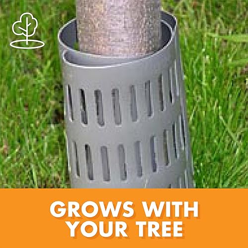 Miniatura 3 de 100 protectores de tronco de árbol, de EasyFlex (1121), Gris
