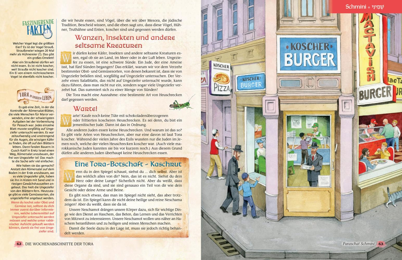 Die Wochenabschnitte der Tora. Gesamtausgabe in 5 Bänden: Eine illustrierte Nacherzählung mit Midraschim (Meine Tora)