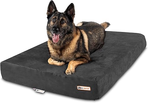 Big Barker Cama ortopédica para perros de razas grandes y extragrandes edición elegante