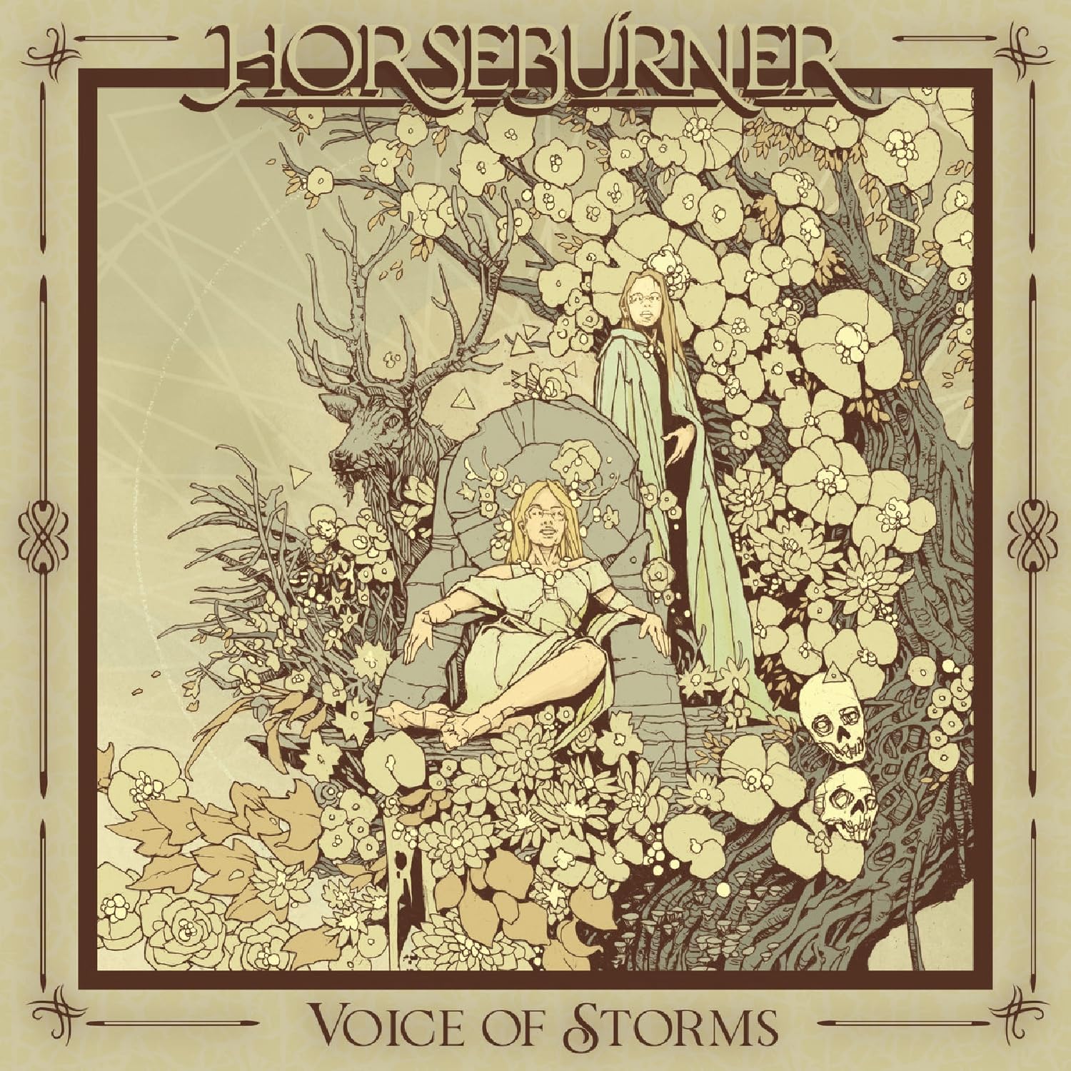 Voice Of Storms