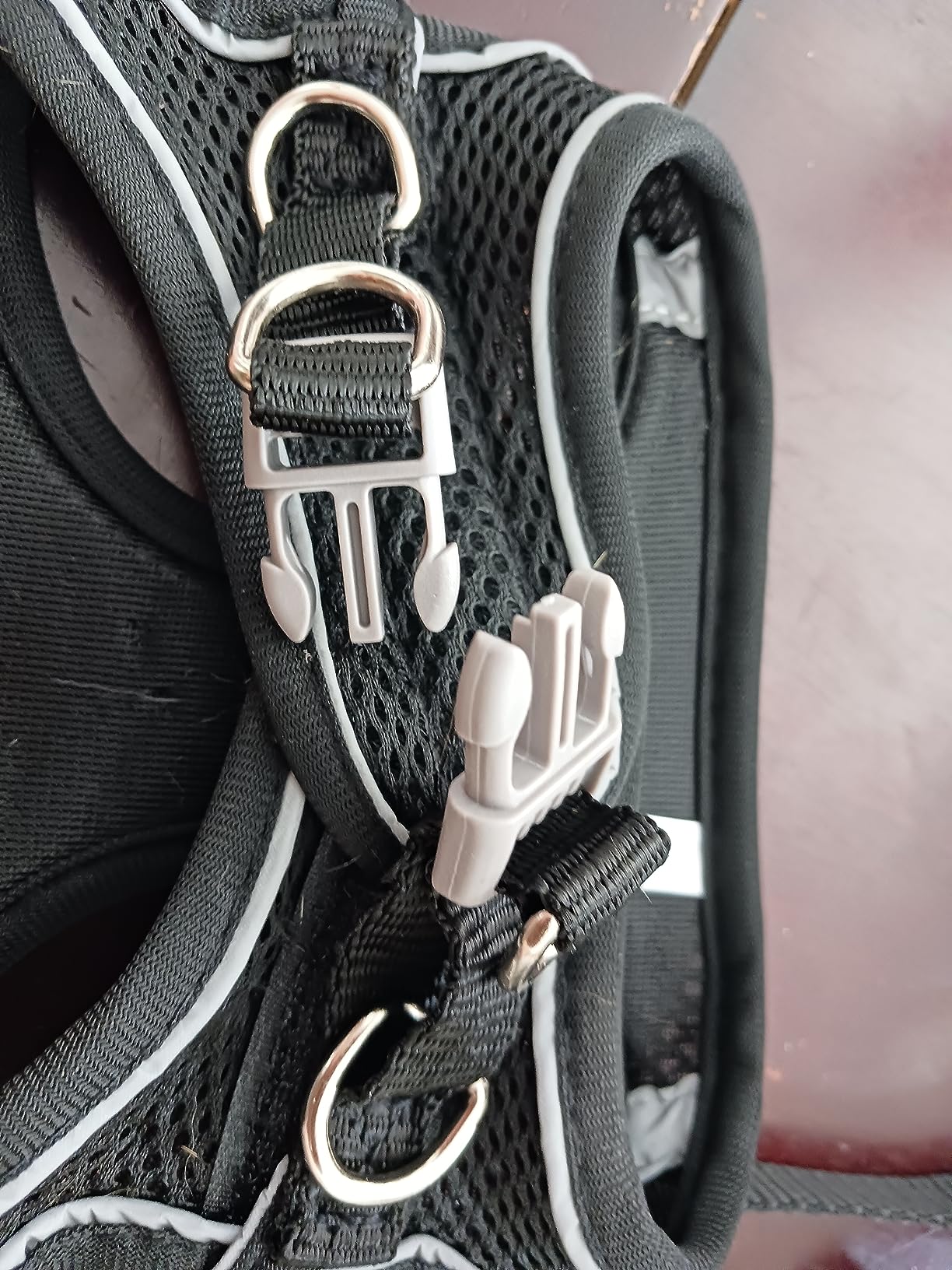 Harnais Et Laisse Réglables Pour Chat Ou Petit Chien – Maille Respirante Avec Collier Inclus, Noir, En Nylon