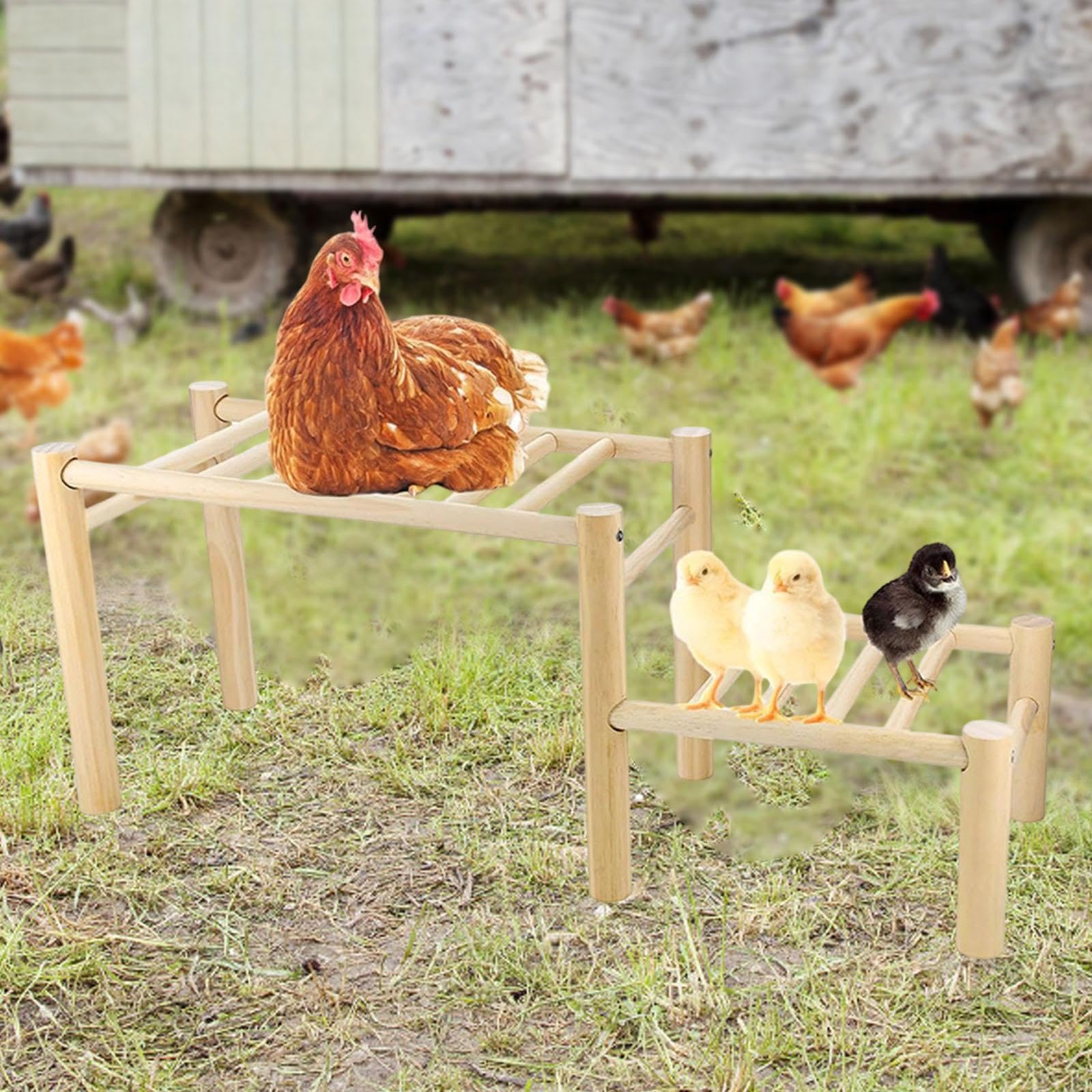 Perchoir en Bois avec échelle, Facile à Assembler et Structure Robuste, idéal pour l'entraînement et Le Divertissement des Poules.