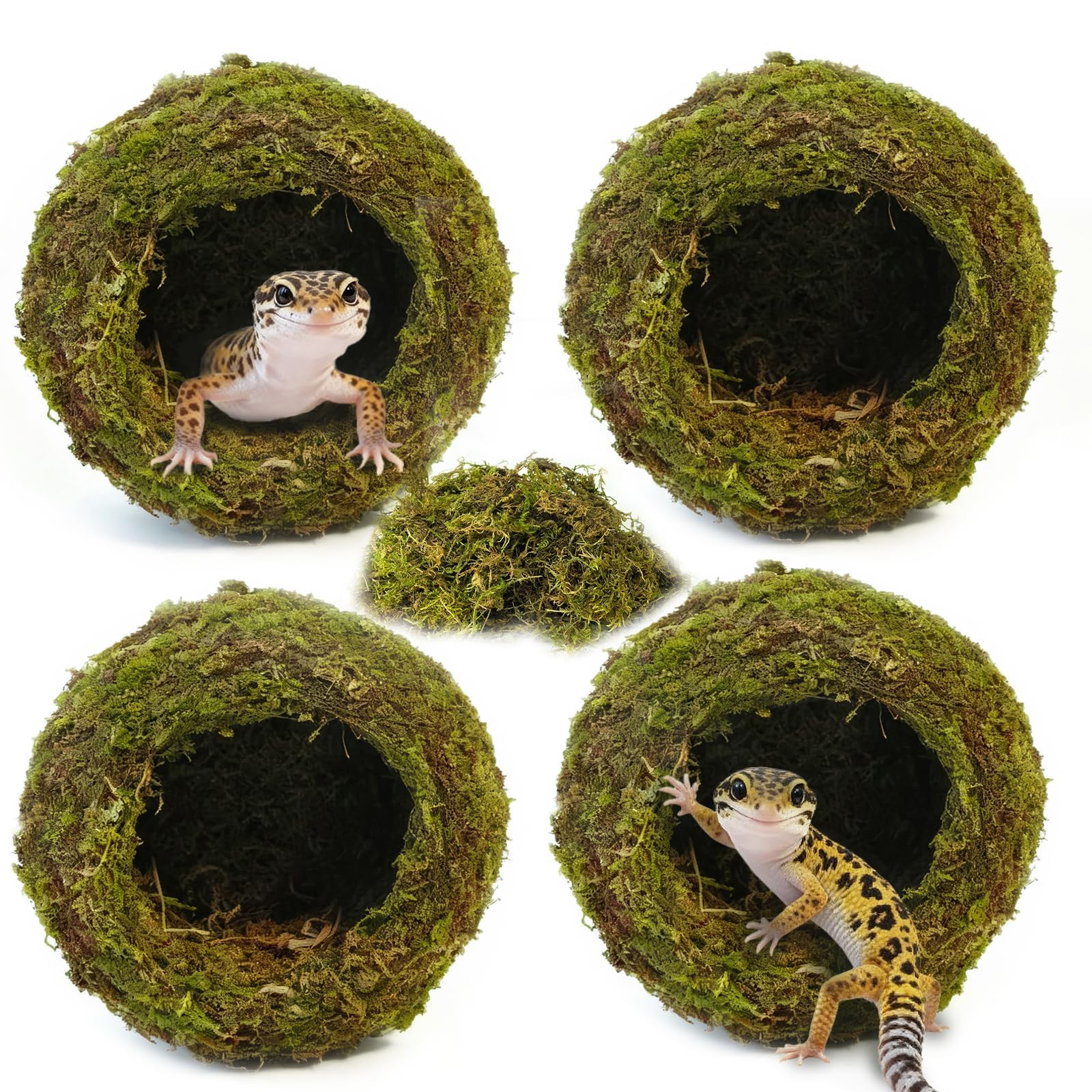 Gxsdj 4pcs Crested Gecko Hide,Reptile Mossy Caves Hideout,Leopard Gecko Humid Hide,Natural Moss Cave Hiding Decor Tank Accessories for Reptiles, Amphibians,Invertebrates,Lizard,Frog