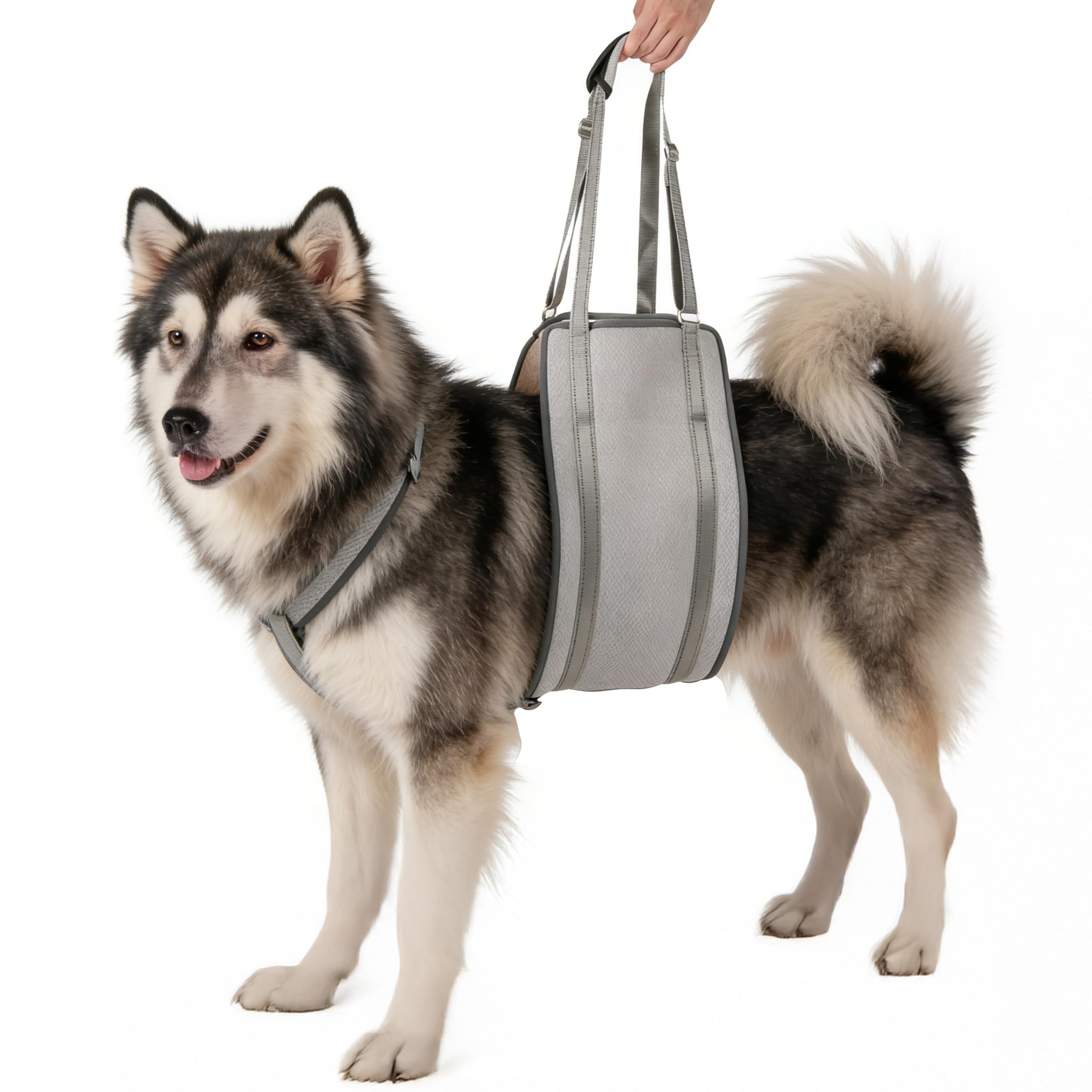 Wood Homing Soft Dog Lifting Harness - Adjustable Grey Dog Carrier Sling with Handle Anti-Slip Collar Reflective Strap for Dogs Back Rear Leg Support Senior Injured Disabled ACL Surgery Recovery (XL)