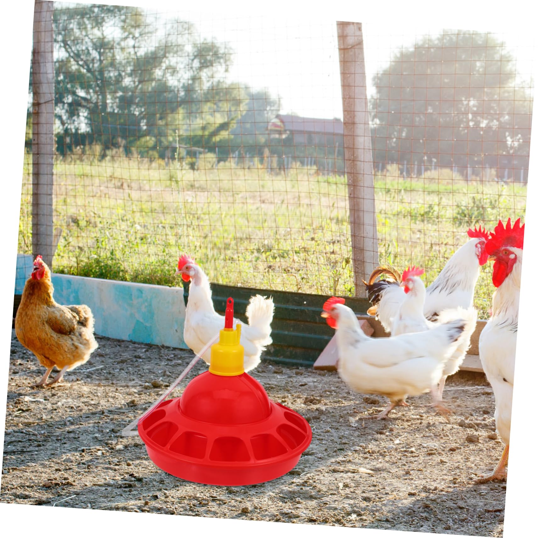 Milisten Abbeveratoio Automatico Strumento Essenziale in Pp per Pollame Design Unico e Materiale Stabile per Allevamento di Galline in Zoo e Negozi di Animali
