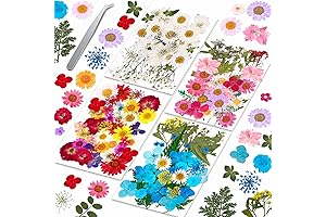 153Pcs Real Pressed Flowers for Resin, Make Crafts Sparkle with Color