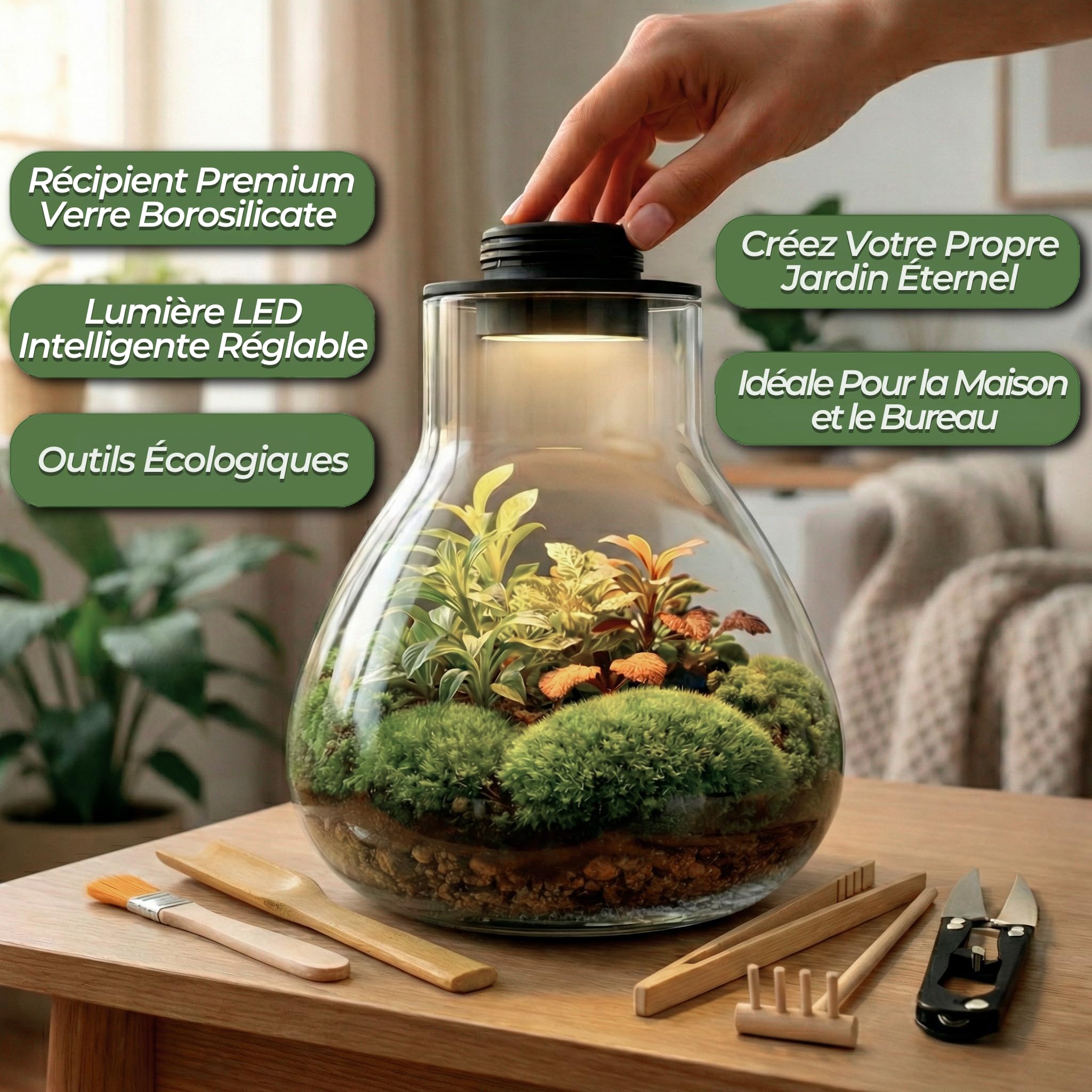 Kit de terrarium pour plantes avec récipient en Borosilicate et lumière LED