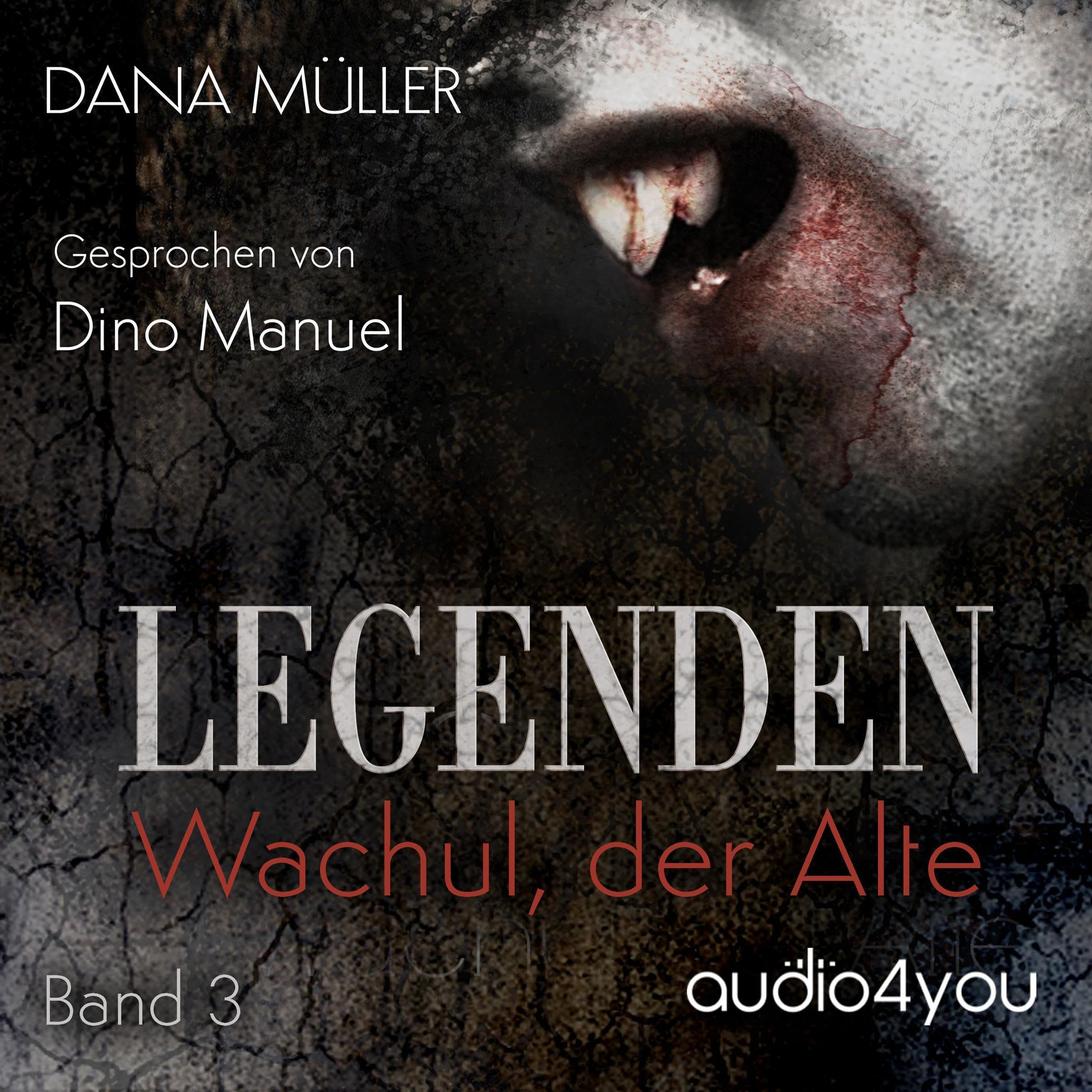 Cover art for Wachul, der Alte