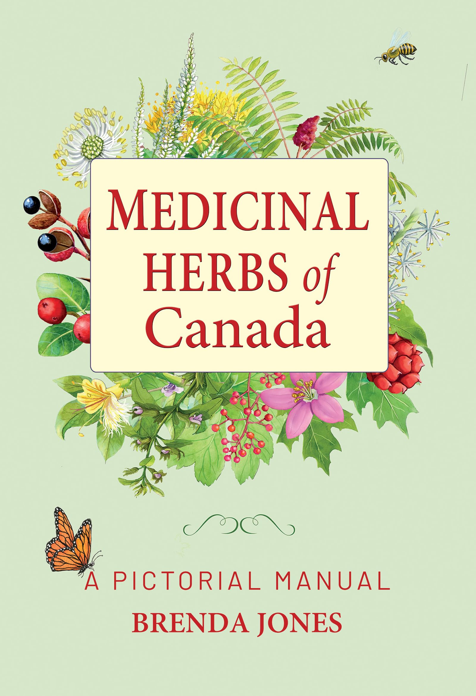 Medicinal Herbs of Canada: A Pictorial Manual: Brenda Jones