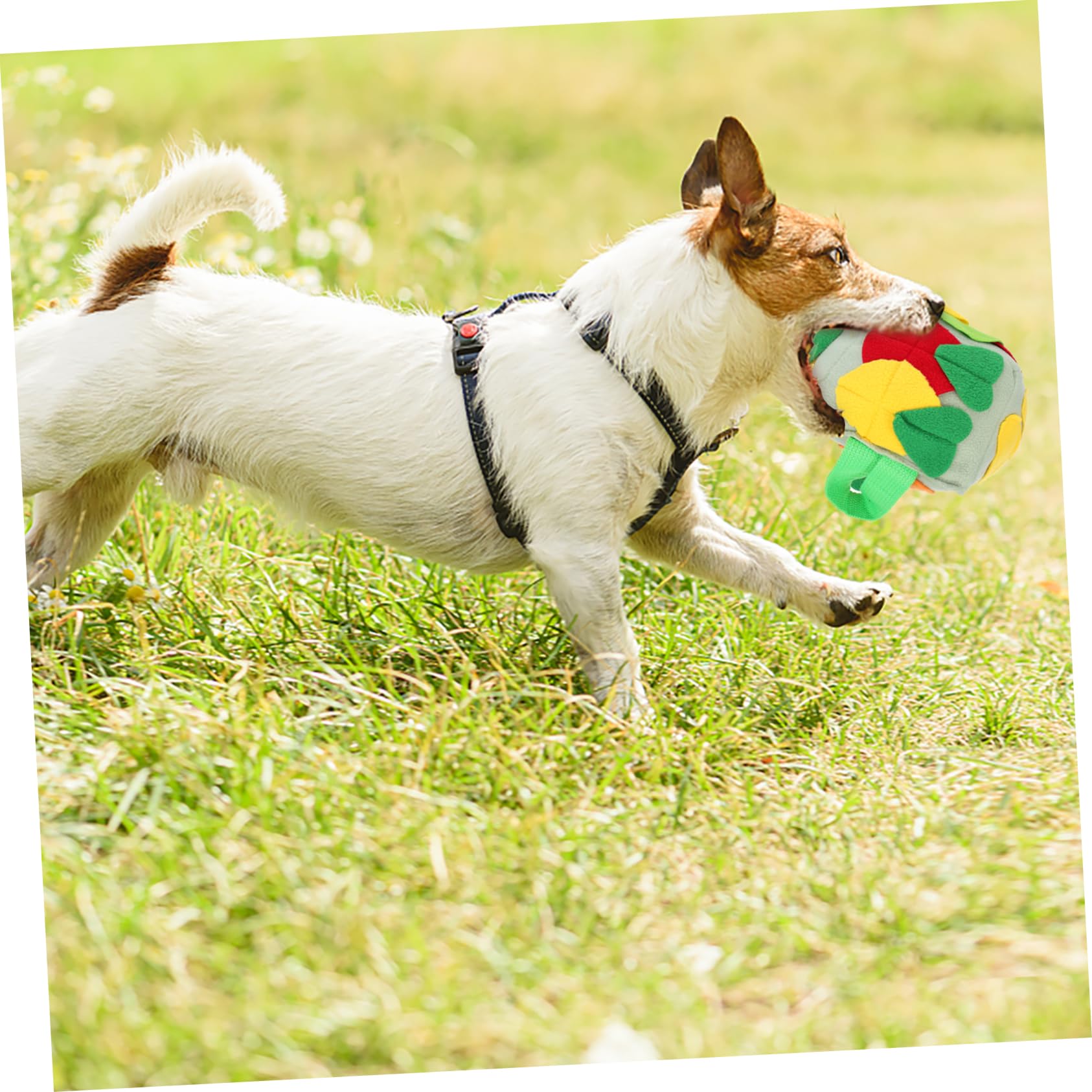 FRCOLOR 3stücke Hunde Schnüffelball Interaktives Kauspielzeug Für Langsames Fressen Und Training Fördert Die Sinne Übergewicht