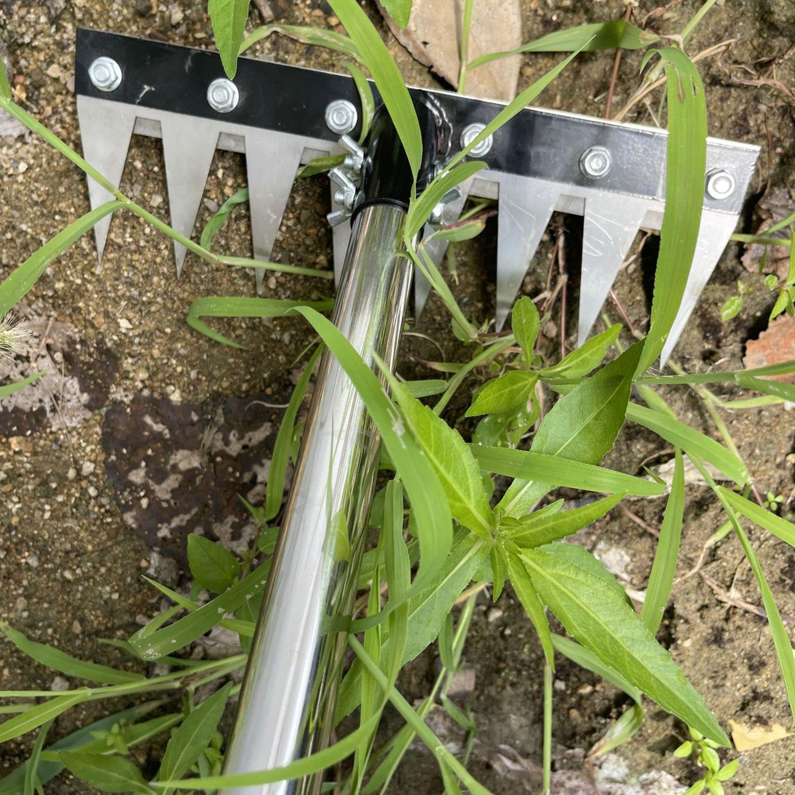 Estirpatore Manuale Artiglio Rimuovi Erbacce Attrezzo per Orticoltura Coltivatore Sarchiatore in Acciaio Legato per Alte Prestazioni Adatto a Sarchia, 8 Consigli
