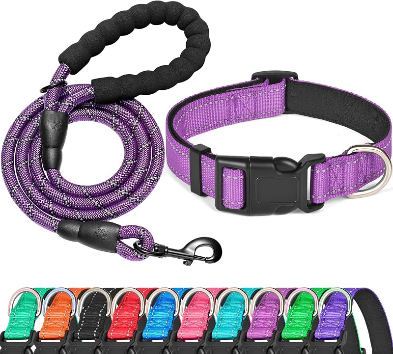 Coleira refletiva para cães com neoprene macio e guia, ladoogo, Pequena, Roxa
