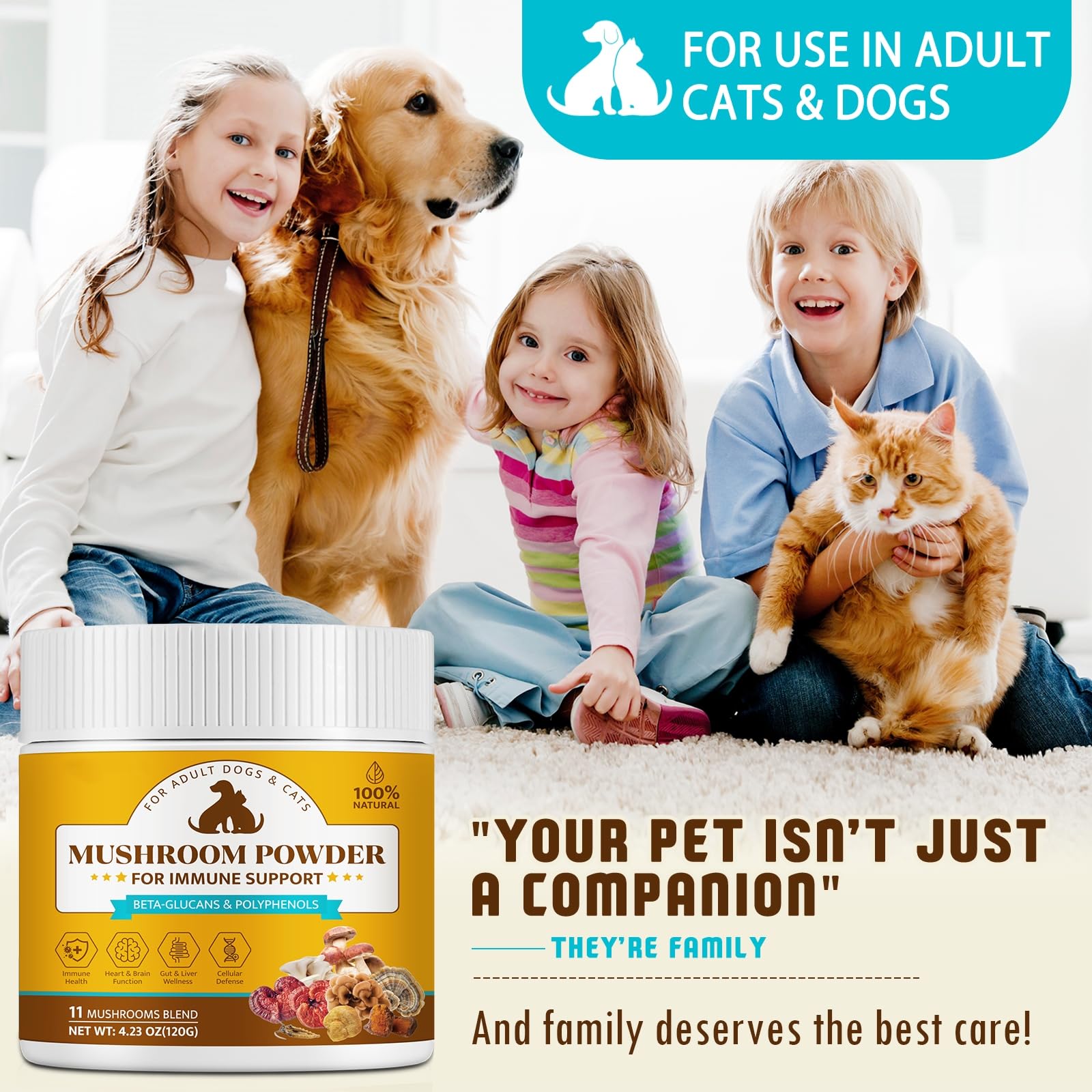 Organic Mushroom Supplement Powder for Dogs & Cats – 11 Mushroom Complex with Turkey Tail, Reishi & Cordyceps, Supports Lipoma, Lumps & Bumps Relief, Immune & Skin Health, 120g — Amazon image 7