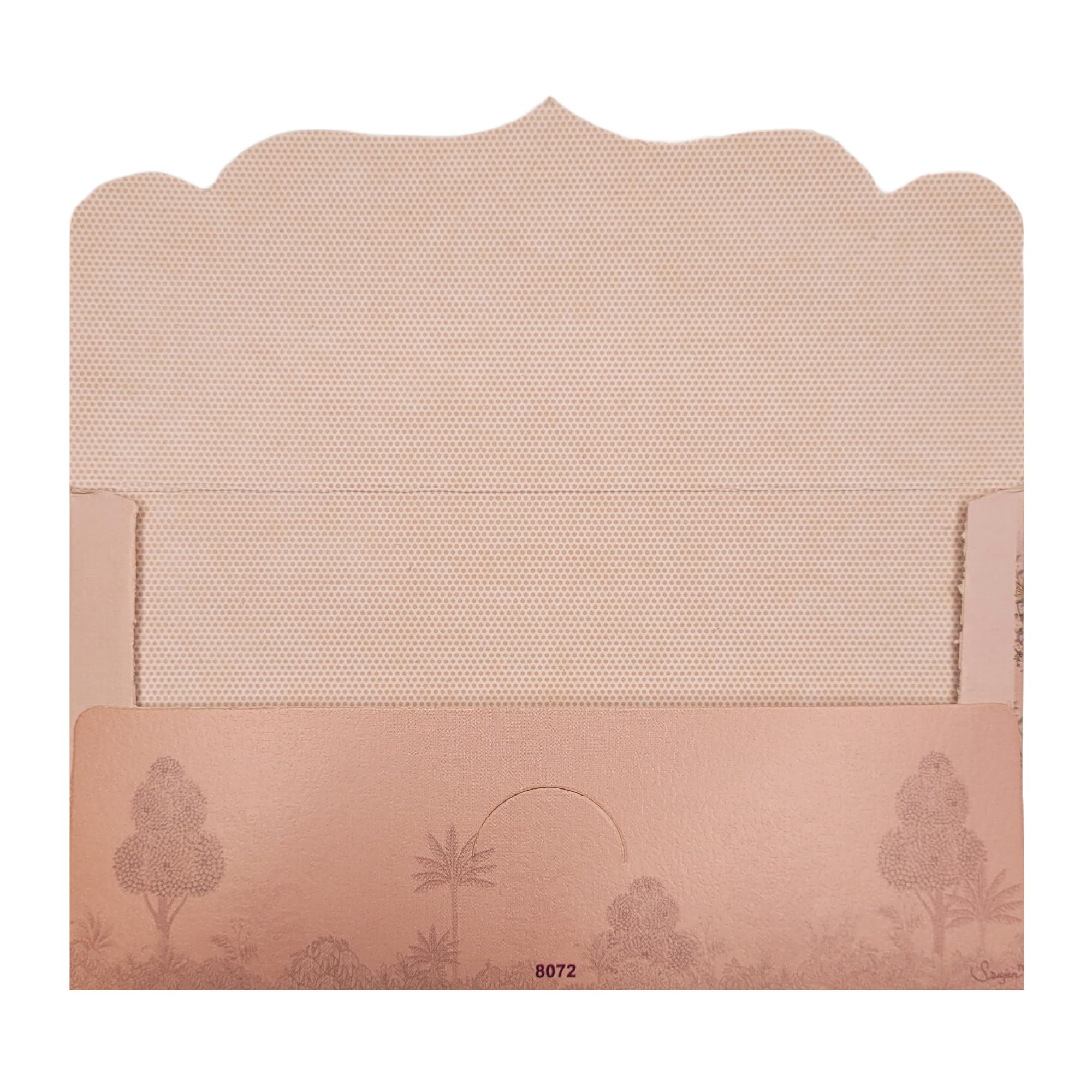 Fonsie cash shagun fancy ambiyan design envelopes pack of 10 for gifting money on wedding gift, baby shower gift, shagun, family gatherings(Peacock mehal) 3