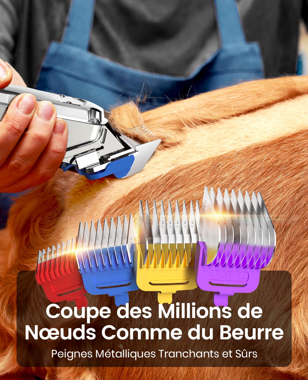 Oneisall Tondeuse pour Chien Silencieuse avec Peignes de Guidage en Métal, Tondeuse Chien Professionnelle sans Fil, Hautes Performances pour Poils Épais/Frisés/Fins/Longs/Ondulés (Argent)