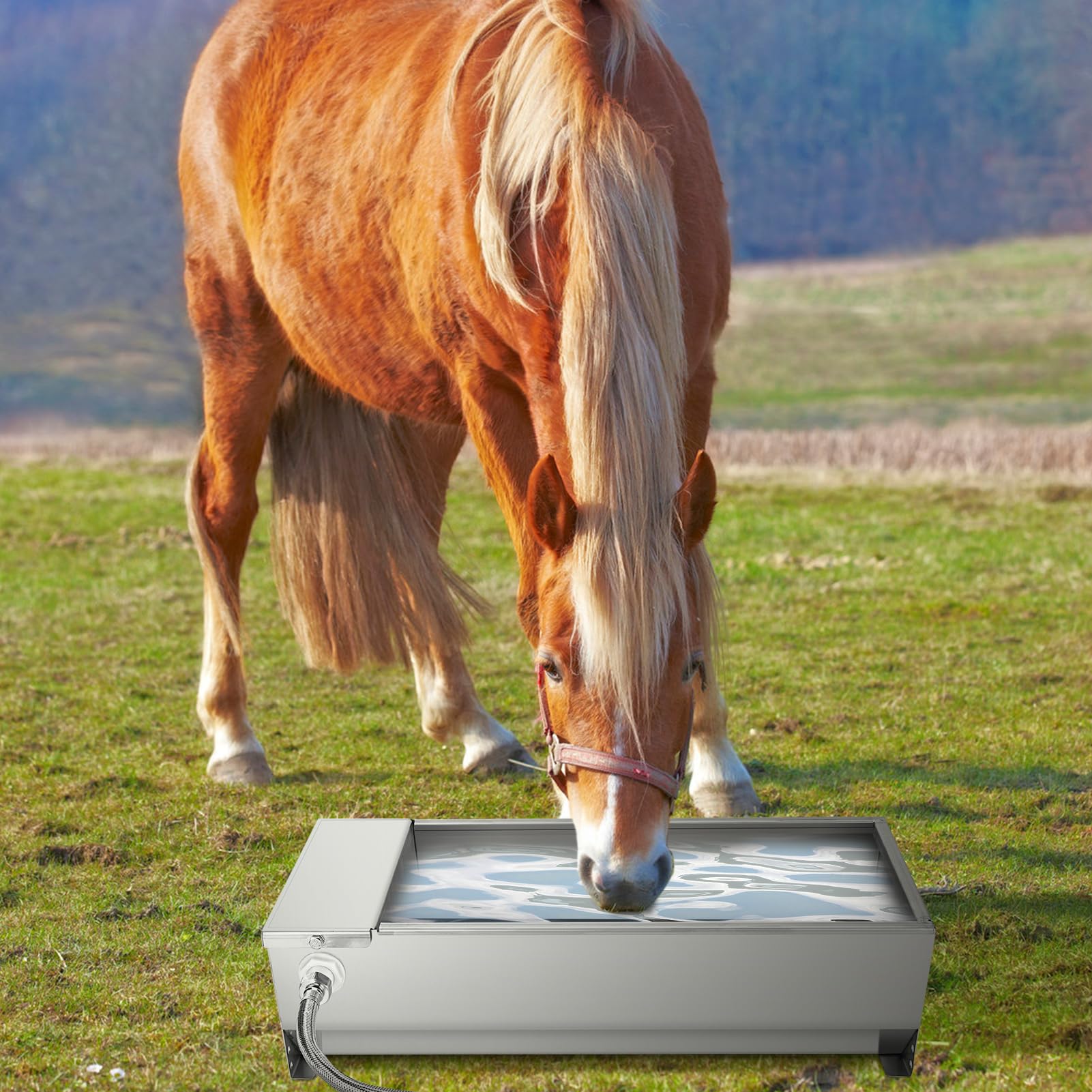 Ausla Bebedero Flotante, Bebedero para Ganado, Dispensador Automático de Agua de Gran Capacidad, 7,5 L, Acero Inoxidable 304 Autollenable para Perros Caballos Vacas Cabras