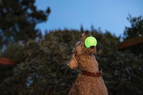 Miniatura 7 de Harry Barker Bolas de goma y palo de goma para masticar, hueso de goma para perros, bolas brillantes de 2.5 pulgadas
