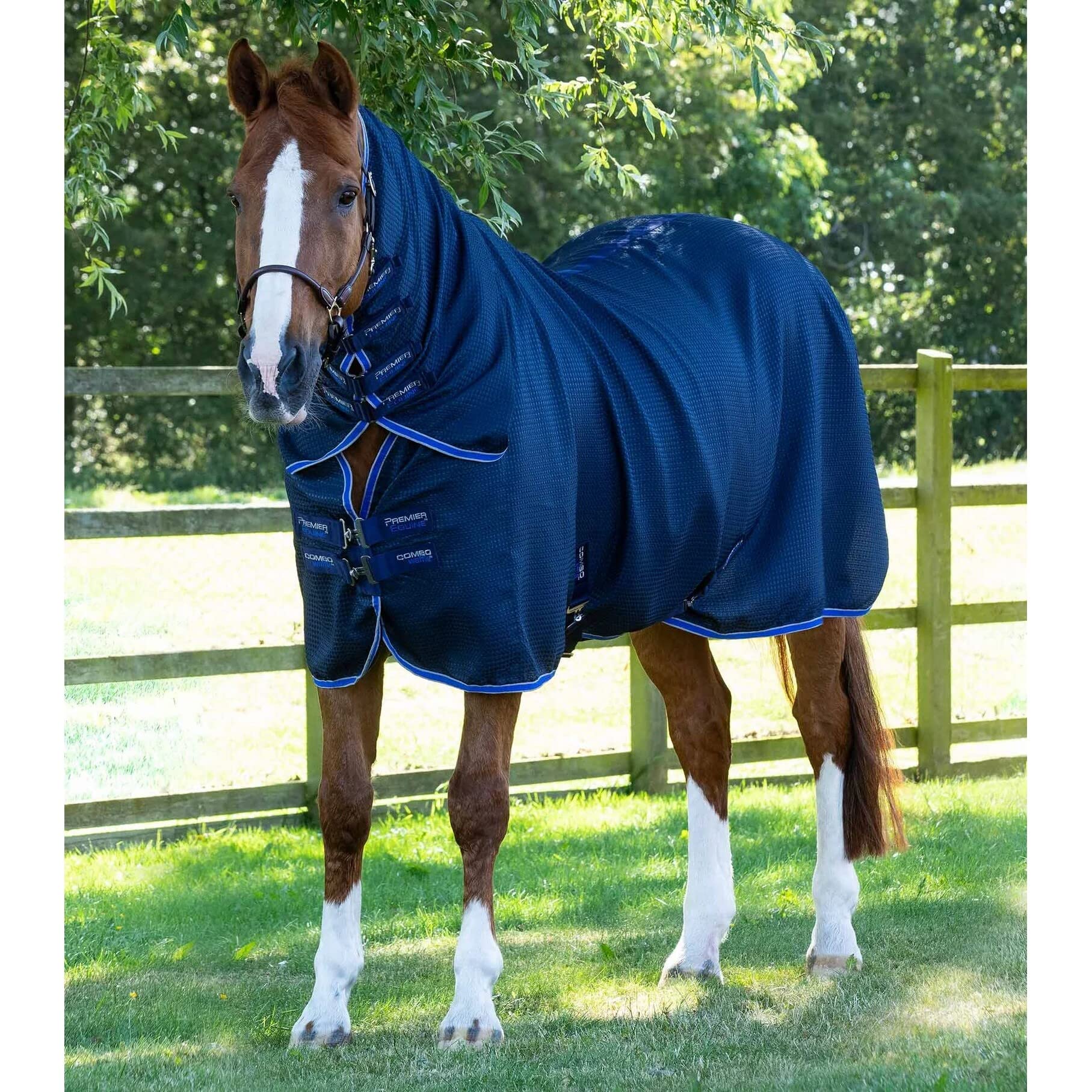 Premier Equine Manta secadora para caballos con cubierta de cuello
