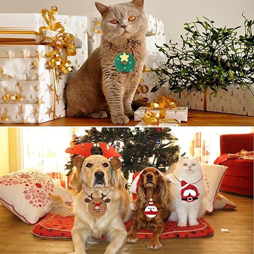 Miniatura 5 de LUCKY SNAIL Kit de ganchillo de Navidad para principiantes, kit de inicio de ganchillo para principiantes con tutoriales en video completo paso a