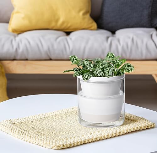 Miniatura 7 de D'vine Dev 373-A-2 - Maceta de riego automático de 4 pulgadas para plantas de interior, macetas de terracota blanca con vaso cilíndrico de vidrio,