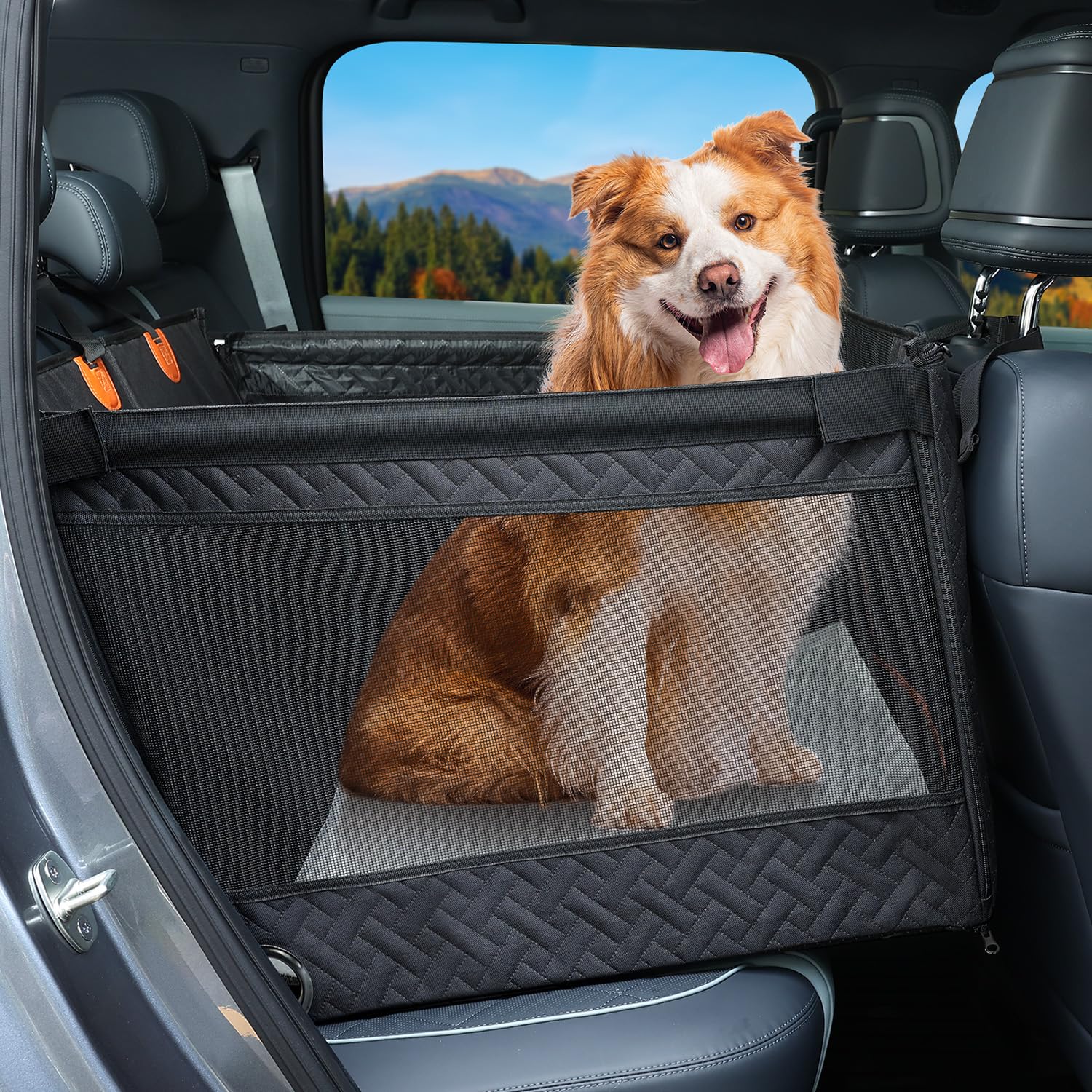 Amazon.co.jp: KYG 【新登場】ドライブボックス 大型犬用 空間拡大