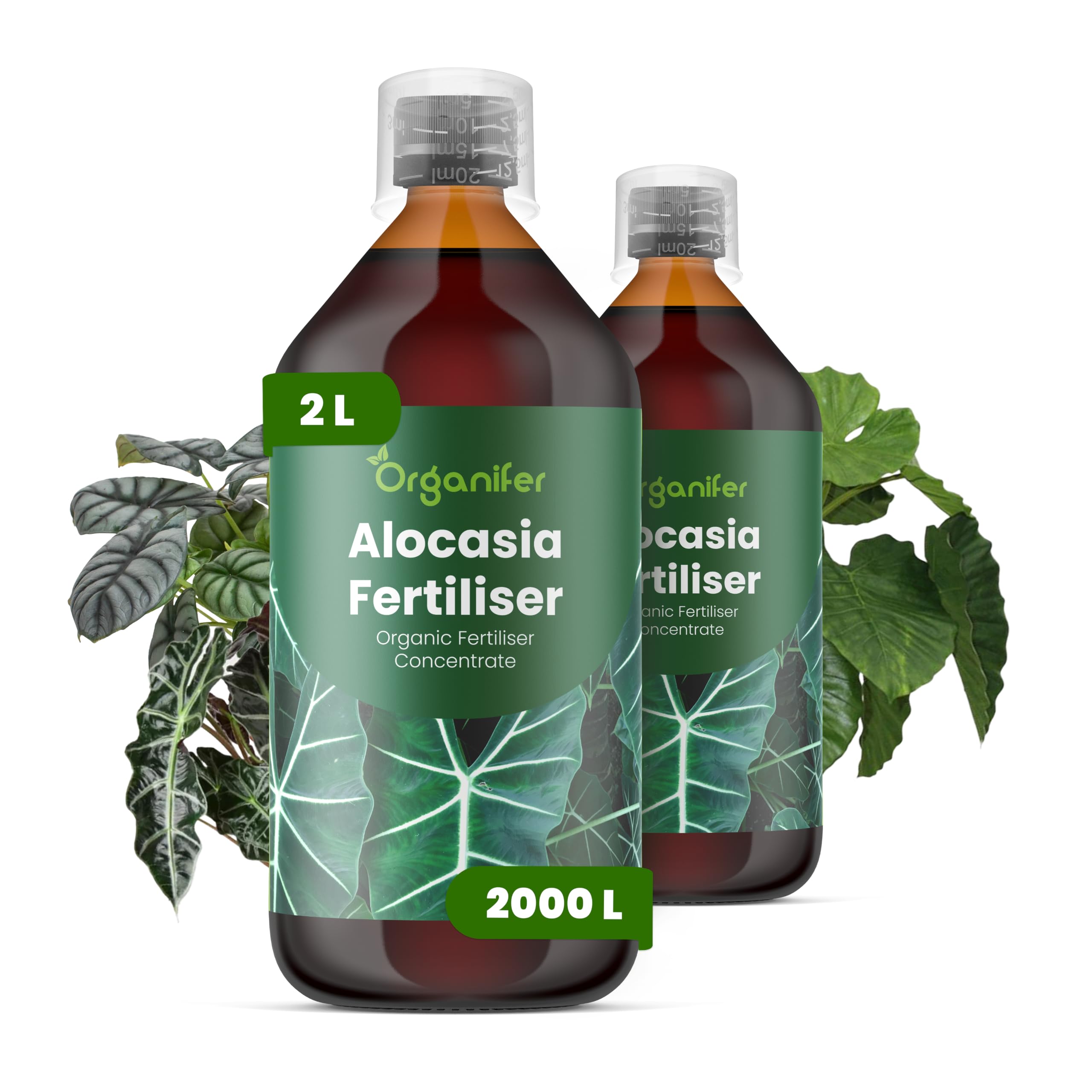 Fertilizante Líquido Para Alocasia - 2x1L - NPK 2-1-8 | Fertilizante Para Hojas Abundantes Y Tallos Fuertes - Favorece Raíces Y Vitalidad - Organifer