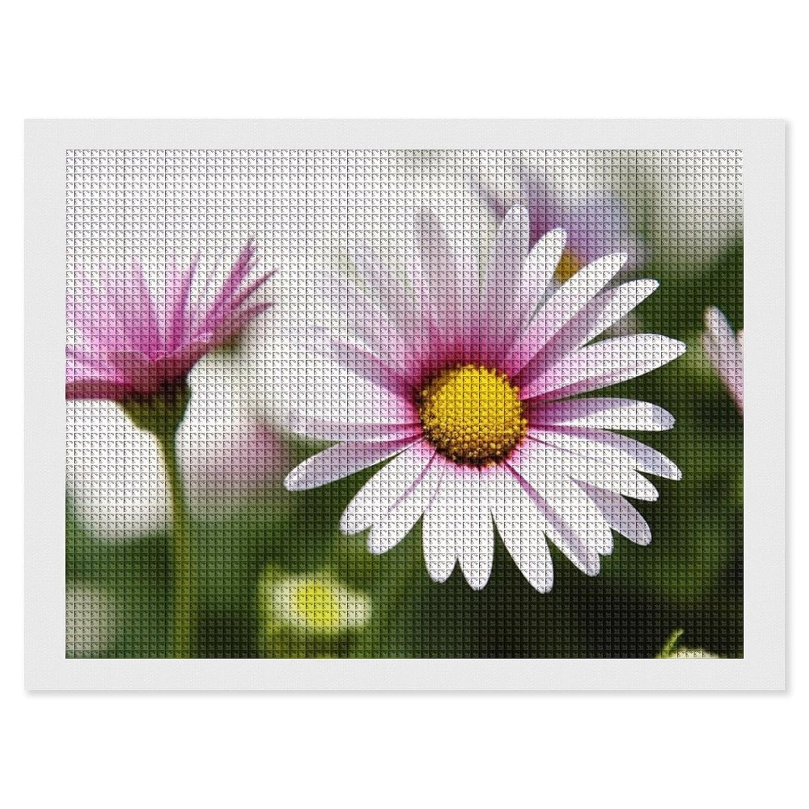 Daisy Flower Diamond Art Kits for Adults, DIY 5D Diamonds Painting Kits for Beginner, Round Full Drill Diamond Dots Painting, 12"x16" Diamonds Pictures Gem Art and Crafts Wall Decor