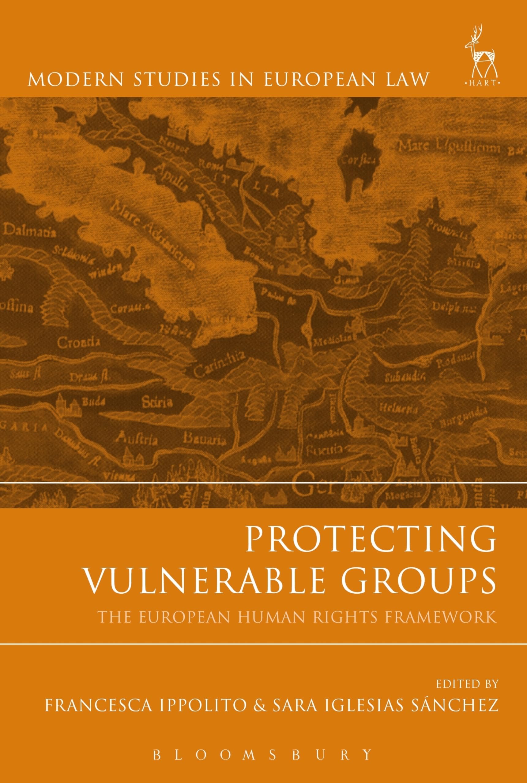 Buy Protecting Vulnerable Groups: The European Human Rights Framework: 51 (Modern Studies in European Law) — BookShops.in