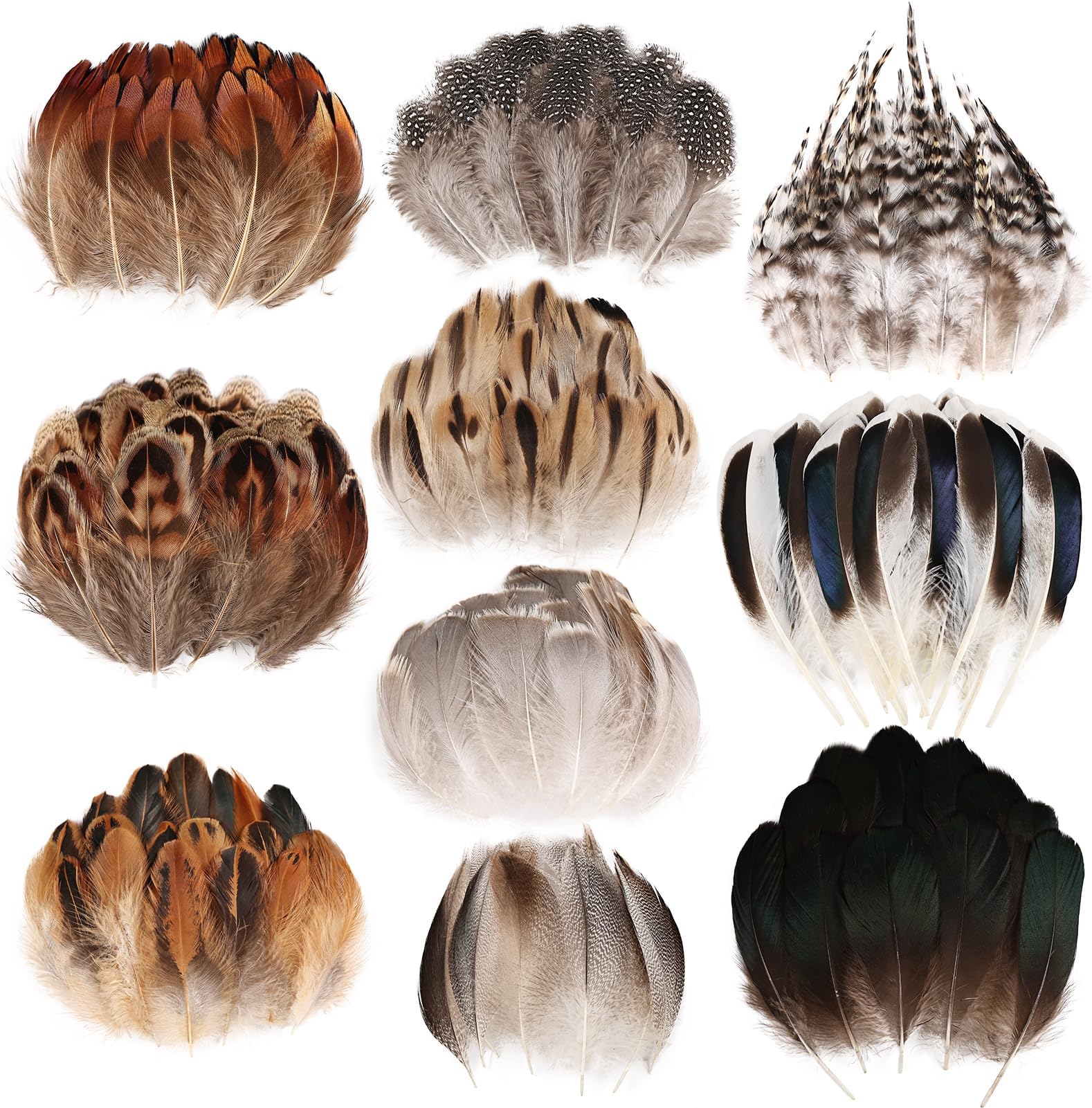 FeelfunFeather 300 pcs Small Feathers - 10 Style Mixed Spotted Decorative Natual Pheasant Feather for DIY Crafts Clothing Jewelry Hair Decoration
