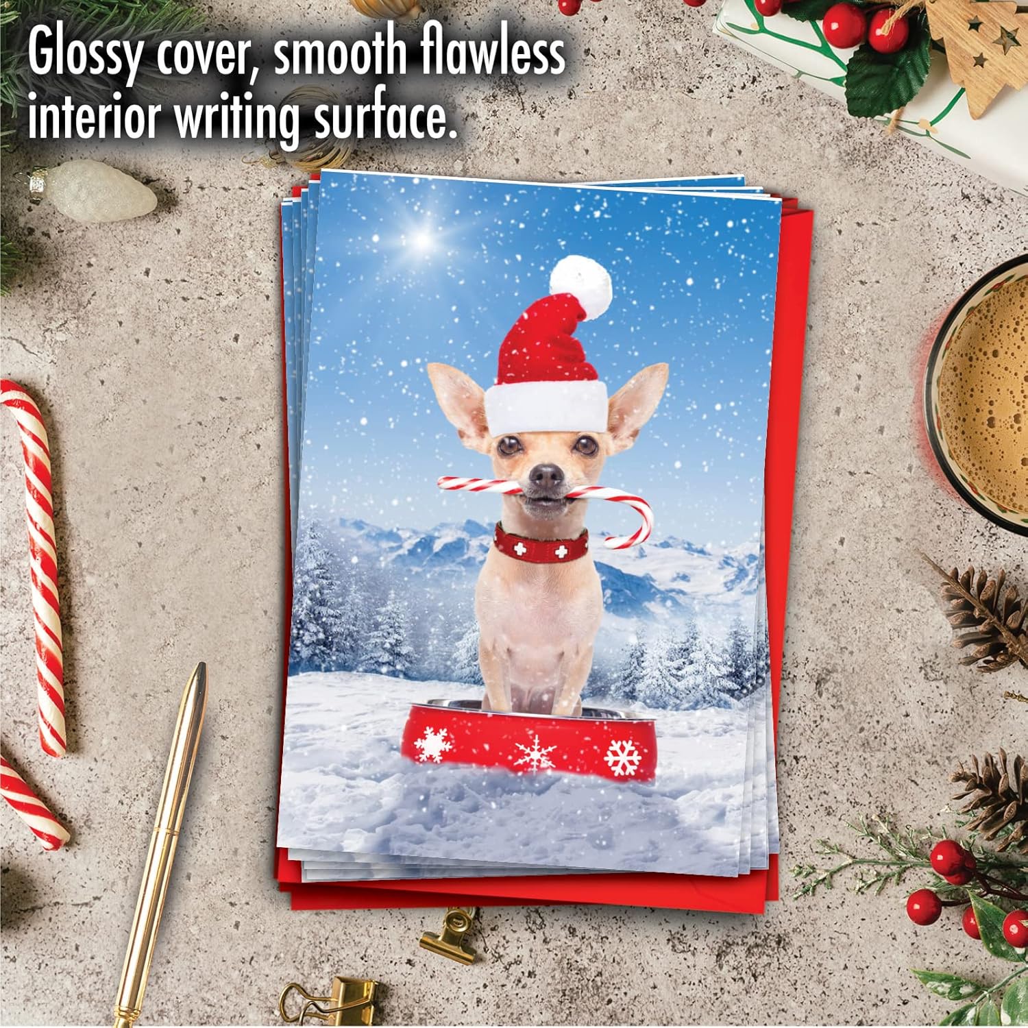 The Best Card Company 12 Christmas Greeting Cards Box Set with 5 x 7 Inch Envelopes (1 Design, 12 Each) Canine Antics C3194GXSG-B12x1